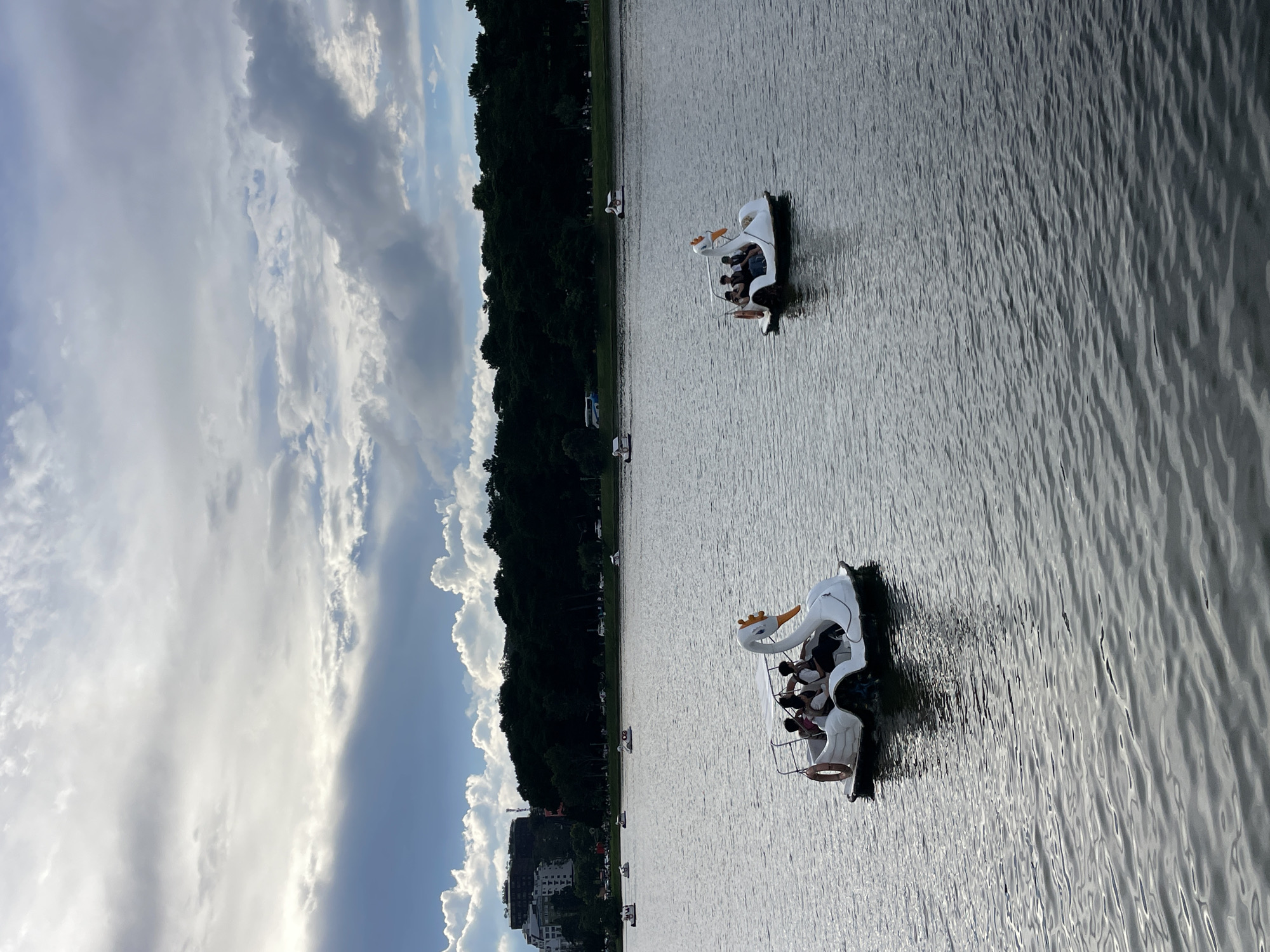 The image captures Xuan Huong Lake in Da Lat, Vietnam, under a cloudy sky. Several swan-shaped pedal boats are on the water. In the foreground, a white swan boat carries four individuals. To the right, another swan boat with three occupants is visible. In the background, more swan boats and a few other vessels are scattered across the lake. The shoreline is lined with dense trees, and beyond them, buildings are visible, suggesting an urban setting. The water is calm with ripples reflecting the overcast sky.
