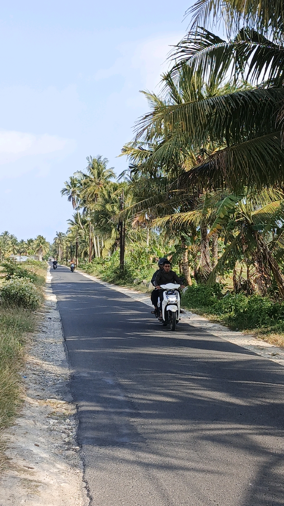 A person rides a white scooter on a paved road lined with palm trees. The scooter has a license plate that is difficult to read. The rider is wearing a dark jacket and a helmet. A passenger is seated behind the rider, also wearing a helmet. The road is asphalt and appears to be in good condition. The surrounding vegetation is lush and tropical, with many palm trees and some other leafy plants. The sky is blue with a few white clouds. The scene appears to be in a rural or semi-rural area.