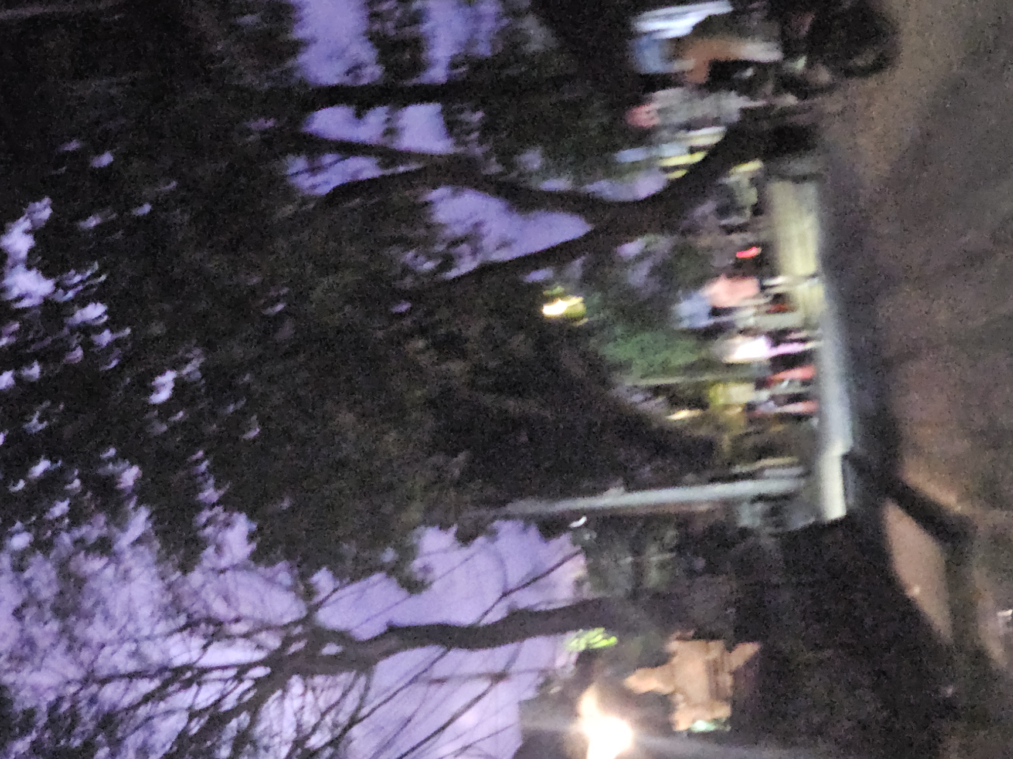The image depicts a nighttime scene in a public area, possibly a street or park, in Denpasar, Indonesia. The sky is a deep purple, suggesting dusk or twilight. Large trees with dark foliage dominate the foreground and midground, their branches creating a canopy over the scene.
In the midground, several figures are visible, though their features are indistinct due to the low light and the image's blurriness. Some appear to be walking or standing, with some wearing brightly colored clothing, such as a pink top and orange and white attire. A motorcycle is partially visible on the right side of the image.
To the left, a blurred light source illuminates a light-colored, abstract structure, possibly a statue or monument, casting a faint glow. The ground appears to be paved or a gravel path. The overall atmosphere is one of an urban setting at night, with elements of nature, human presence, and artificial lighting interacting. The scene conveys a sense of activity, despite the low visibility.