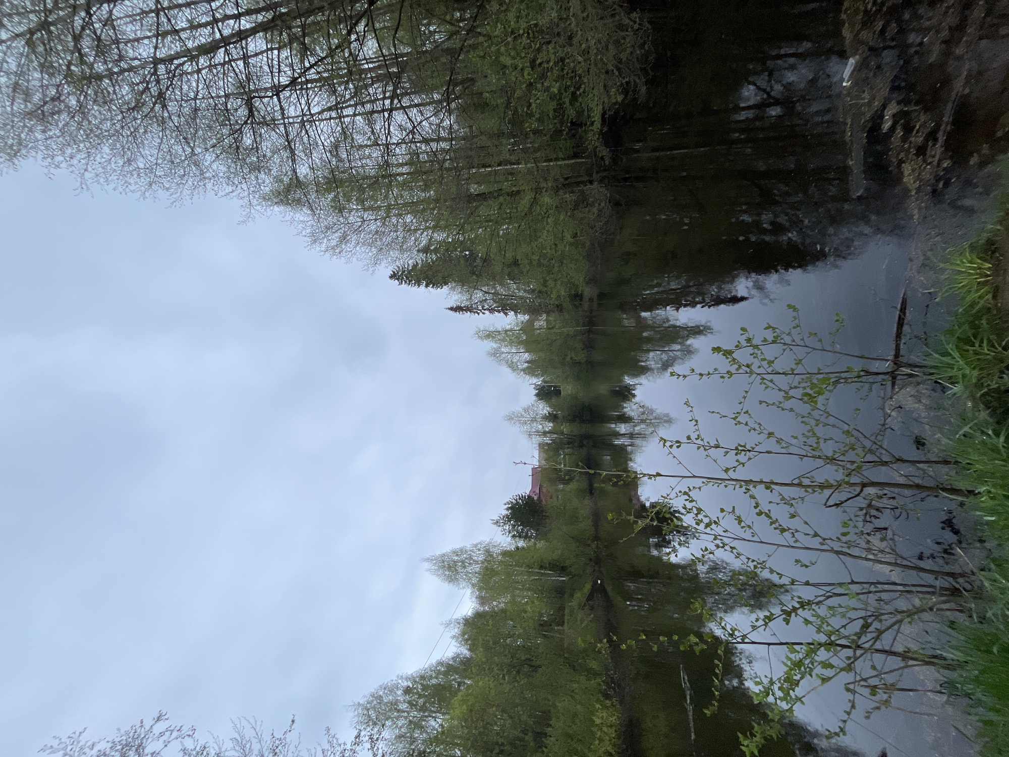 The image depicts a body of water, possibly a river or lake, with trees lining the banks. The sky is overcast and reflects in the water. Some trees appear to be bare branched. The perspective suggests the image was taken at ground level. A building is visible near the waterline. The scene is possibly located in Chaikovsky, Russia.