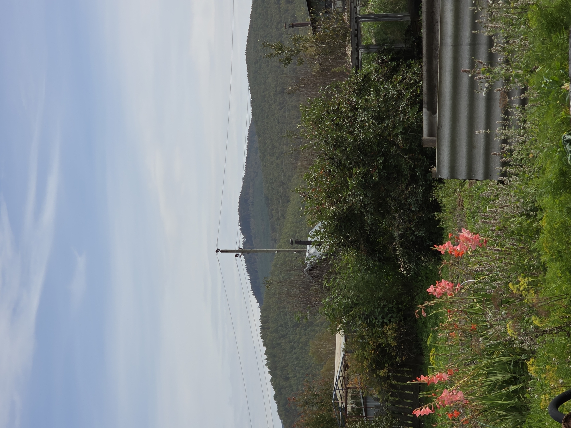 The image shows a rural landscape with a cluster of buildings and vegetation against a backdrop of forested hills. In the foreground, a garden bed features pink gladiolus flowers and various green plants. A corrugated metal trough or raised bed is visible in the lower right corner. Behind the garden, a wooden fence runs along the left side, and a small building with a metal roof and a chimney is partially obscured by dense green bushes. Further back, more structures and trees are visible. Power lines stretch across the scene, supported by a utility pole. The background is dominated by rolling green hills covered in trees. The sky is overcast with scattered clouds. This scene appears to be a residential area in a rural setting, potentially within or near Magnitka, Russia. There are no people or animals present in the image.