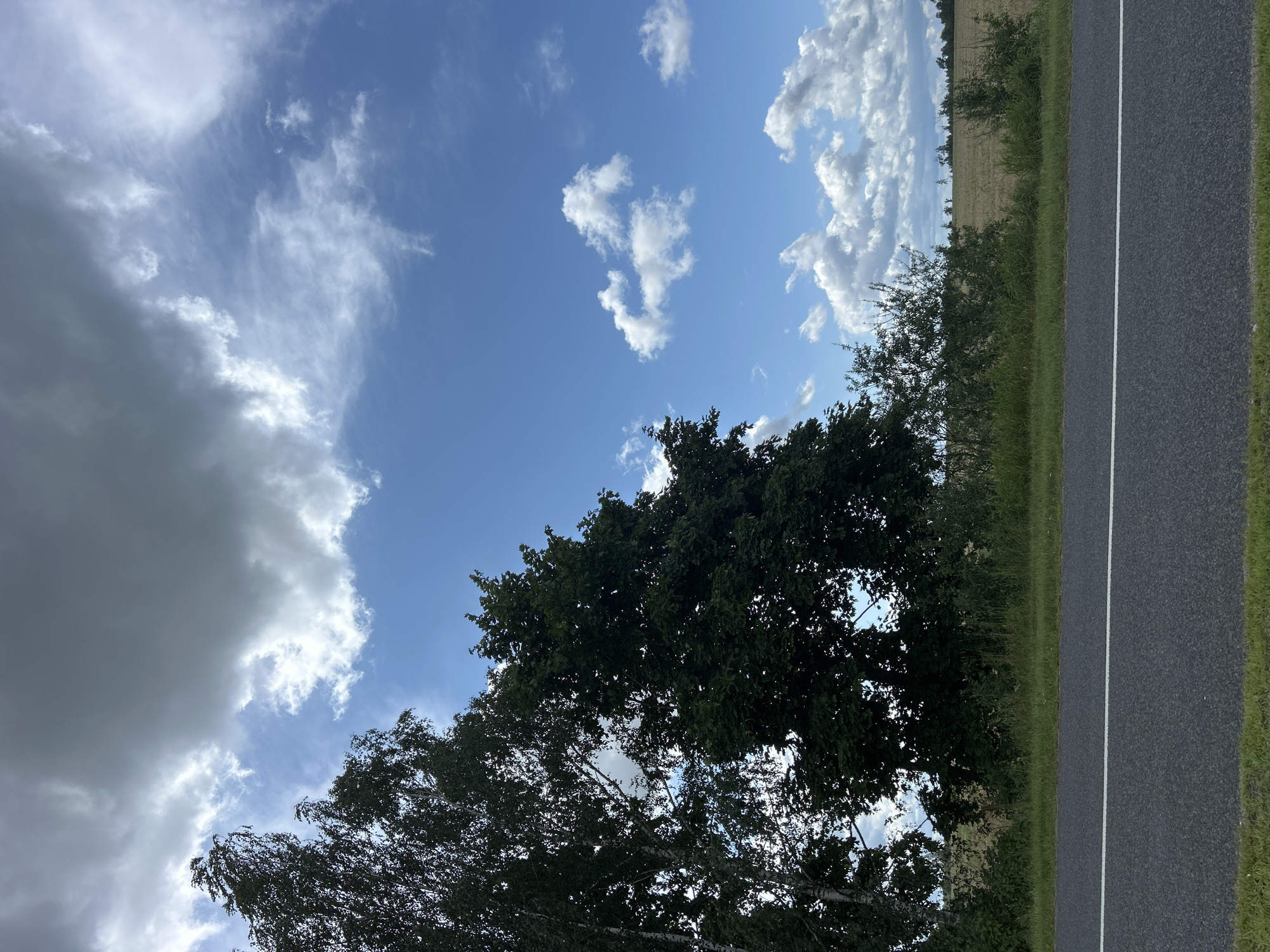 This is a photograph of a rural landscape in Belarus. The scene depicts a paved road with a white line marking its center, running vertically along the right side of the frame. To the left of the road is a grassy verge, followed by a line of trees and shrubs. Beyond the vegetation, a harvested field is visible, stretching towards a distant tree line. The sky above is a clear blue, dotted with various types of clouds, ranging from wispy cirrus clouds to larger, more voluminous cumulus formations. The lighting suggests it is daytime, likely late afternoon given the angle of the sun, though the sky is partially obscured by clouds. The overall mood is peaceful and serene, capturing a quiet moment in the countryside. There is no visible text in the image.