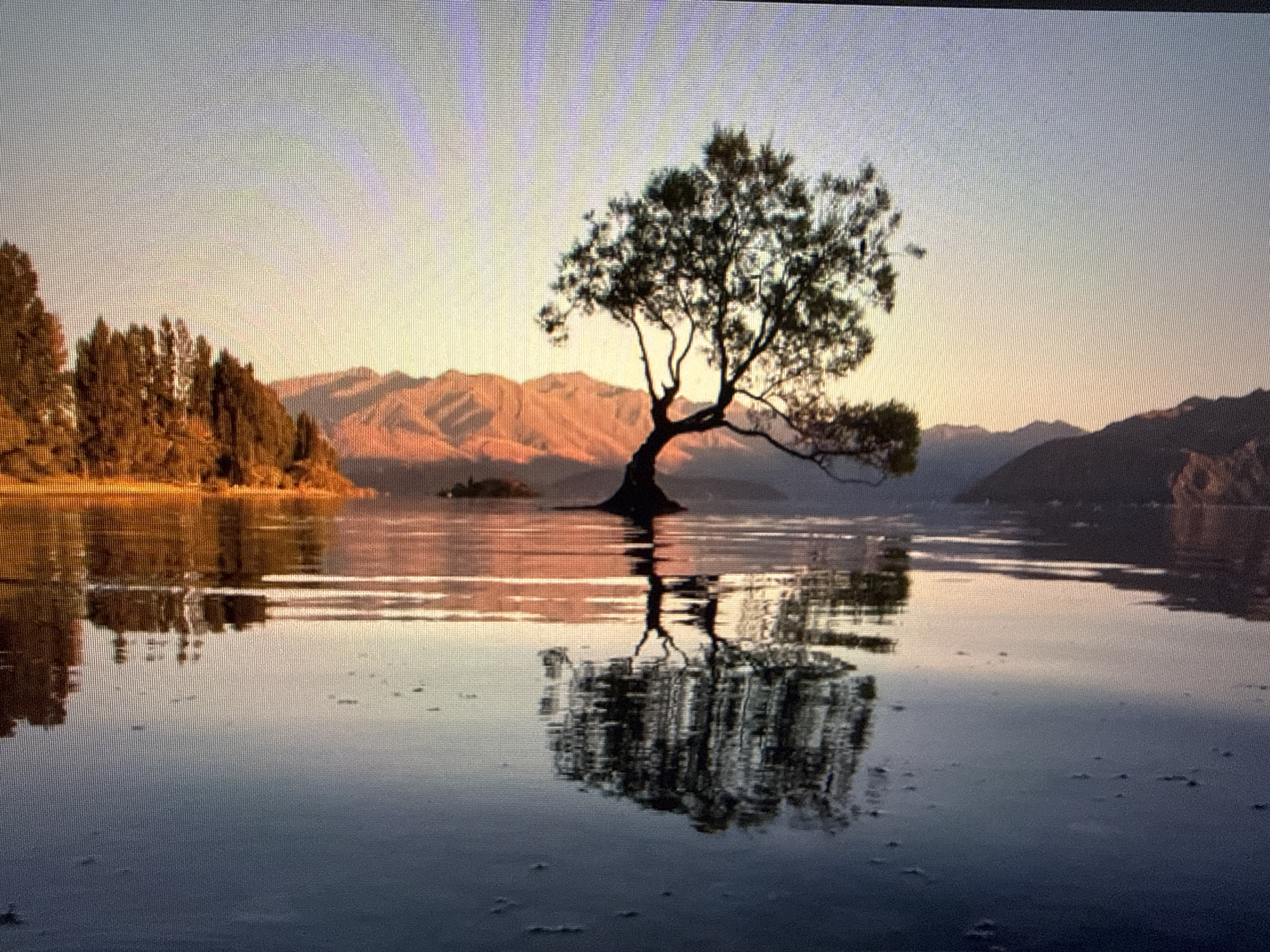 A serene landscape featuring a solitary tree standing in the middle of a lake, its reflection clearly visible in the calm water. In the background, rolling mountains are bathed in the warm hues of the setting sun. The sky is a gradient of soft colors, from light blue to a warm orange near the horizon. The tree appears to be rooted in a small, submerged island. On the left side of the image, a cluster of trees can be seen along the shoreline. This scene is not located in Sofia, Bulgaria.