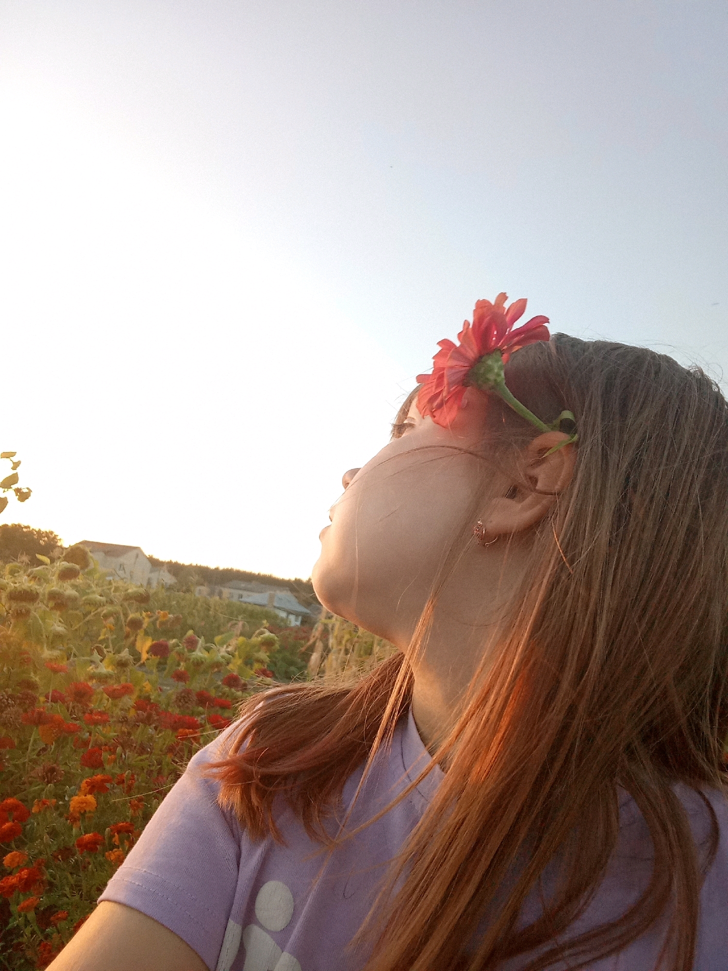 An outdoor medium shot captures a young person from the chest up, facing right, with their head tilted upwards. A single red flower is tucked behind their right ear, its stem wrapped around a strand of their long, brown hair. The person wears a light purple t-shirt with a circular pattern on the front. Their skin is illuminated by warm, golden sunlight, highlighting their profile and hair. Behind them, a field of flowers in various shades of red and orange stretches into the distance. In the background, several houses with grey roofs are visible amongst green trees, suggesting a suburban or rural setting. The sky above is a pale, bright blue, almost white at the horizon due to the bright sunlight.