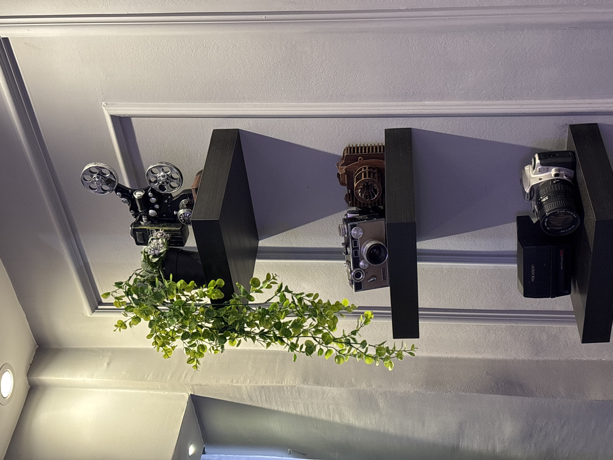 The image depicts an interior scene, likely a home or shop, in Sweileh, Jordan, featuring a collection of decorative items displayed on black floating shelves mounted on a pale grey, paneled wall.
On the top shelf, a vintage-style film projector is positioned, accompanied by a potted plant with cascading green foliage. The plant's leaves are a vibrant green, and some appear to be illuminated by ambient light.
The middle shelf displays two camera-themed objects. On the left, a metallic camera with a brown finish is visible. To its right is a wooden model of a camera, showcasing intricate detailing.
The bottom shelf holds two more cameras. On the left, a black Polaroid Autofocus 660 camera is present. To its right, a silver and black digital camera with a lens is positioned.
The environment appears to be dimly lit, with shadows cast on the wall by the shelves and objects. The wall itself has a textured finish and is divided by vertical molding. Two recessed ceiling lights are partially visible at the top of the frame, suggesting the primary light source. No people are present in the scene.