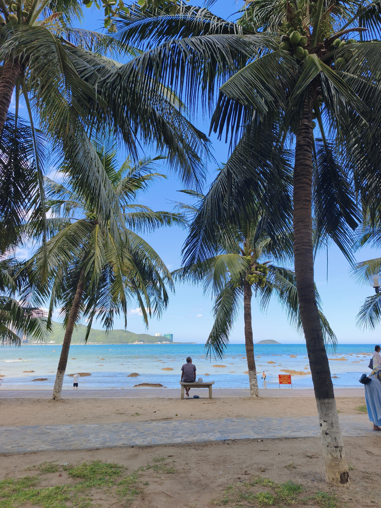 The image depicts a tropical beach scene with multiple palm trees in the foreground, their fronds casting shadows on the sandy beach. In the middle ground, the ocean stretches out under a clear blue sky, with several large rocks visible in the shallow water. A person is seated on a bench on the beach, facing the ocean. Further down the beach, another person stands in the shallow water. A red sign with white text is visible in the water. In the background, a coastline with hills and buildings can be seen. The scene suggests a peaceful day at the beach in Nha Trang, Vietnam.