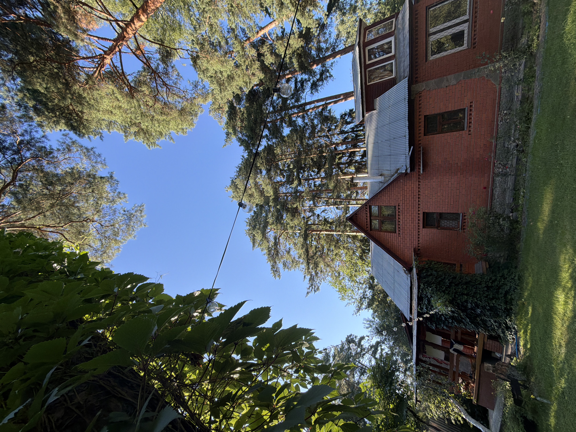 The image shows a red brick house with a metal roof, partially covered by vines, in the city of Udelnaya, Russia. The house has several windows, some of which are large and multi-paned. A porch with wooden railings is visible on the left side of the house, also partially covered by vines. The house is surrounded by tall pine trees and lush green foliage. String lights are hung across the scene, with several bulbs visible against the clear blue sky. The ground in front of the house is covered with green grass. The overall impression is of a rustic, possibly rural or suburban, setting. There are no people or animals visible in the image. The lighting suggests it is daytime, with sunlight filtering through the trees.