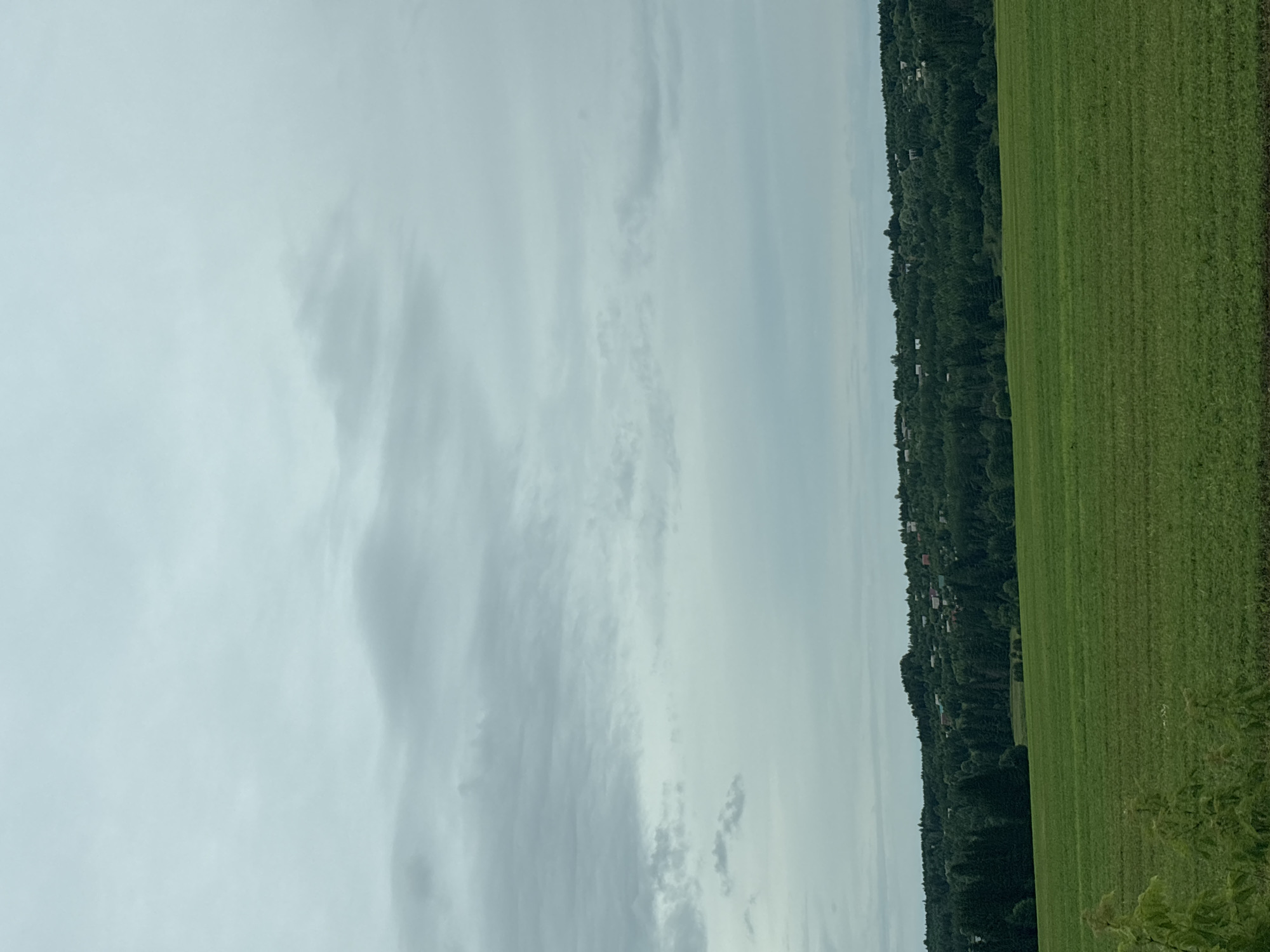 The image depicts a rural landscape in Забегалово, Russia, under an overcast sky. The scene is divided diagonally, with the left side dominated by a pale, cloudy sky and the right side showing a vibrant green, manicured field stretching into the distance.
Along the horizon, a dense line of dark green trees forms a backdrop to the field. Peeking through the trees are scattered residential buildings with red roofs, suggesting a small village or scattered homesteads nestled within the foliage. The field itself appears to be agricultural, possibly a crop of some kind, with neat rows indicating recent cultivation.
The weather appears to be temperate and possibly humid, given the heavy cloud cover. The lighting is diffused, casting no harsh shadows and creating a soft, muted atmosphere. The overall mood is one of tranquility and natural beauty, characteristic of a rural setting. No people or specific objects are prominently featured, allowing the landscape itself to be the primary subject. The image does not contain any visible text.