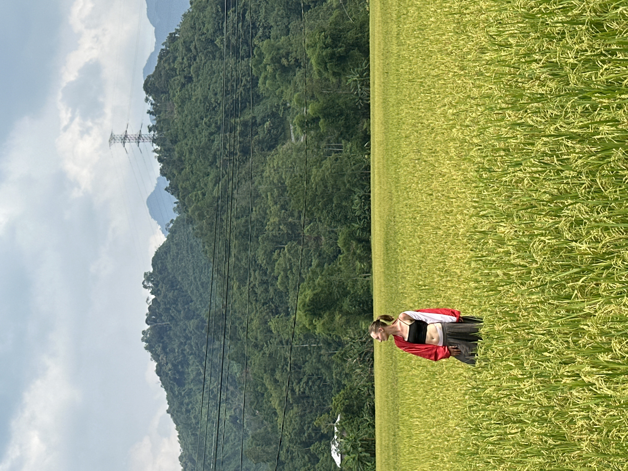 A young woman stands in a vast, ripening rice field in Ngọc Đường Commune, Vietnam, under a partly cloudy sky. She is positioned towards the right side of the frame, wearing a black crop top, dark trousers or skirt, and a red and white jacket draped over her shoulders. Her head is slightly bowed, looking down or to the side.
The rice field, vibrant with shades of golden-green and yellow, stretches across the foreground and right side of the image, indicating a near-harvest stage. In the background, majestic, densely forested mountains rise under the cloudy sky, providing a dramatic natural backdrop. Several power lines cut across the middle ground of the scene, and a prominent metal electricity transmission tower is visible on the left, silhouetted against the sky and mountains. The lighting suggests it is daytime, possibly late morning or afternoon, with clear visibility. The scene offers a blend of natural beauty and rural infrastructure in a serene setting. No visible text is present.
