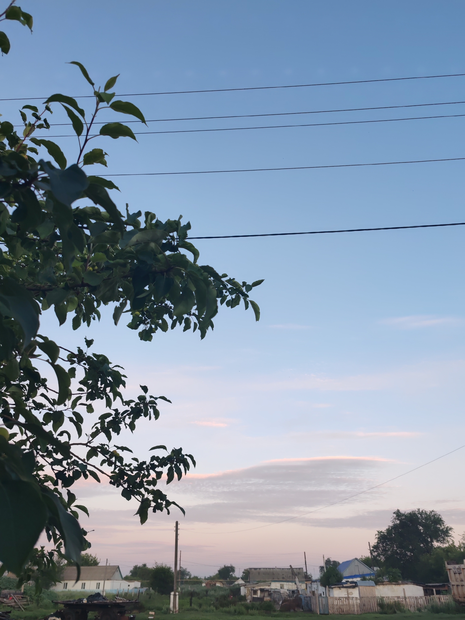 The image depicts a rural scene in Akzhar, Kazakhstan, at dusk. In the foreground, a tree branch with green leaves partially obscures the view of the sky and the landscape. Several power lines are visible running horizontally across the upper portion of the image. The sky is a clear blue with a few scattered wispy clouds tinged with pink and white, suggesting either sunrise or sunset. The middle ground features a collection of modest, low-rise buildings, appearing to be houses or outbuildings, with visible roofs and walls. Some appear to be constructed of wood and metal, and there are fences and other structures indicating a residential area. Green vegetation, including grass and trees, is abundant throughout the middle and background, suggesting a natural, undeveloped environment surrounding the buildings. There are no people or animals visible in the image. The overall impression is of a quiet, somewhat rustic, residential area at the edge of a rural settlement in Kazakhstan.