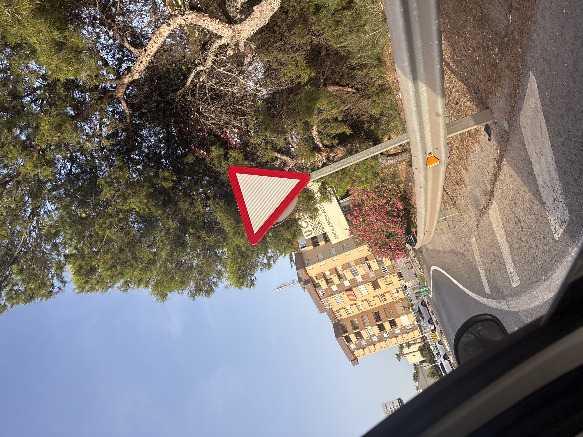 The image shows a street view in Orihuela, Spain, with a give way sign prominently displayed. In the background, a multi-story building with a light-colored facade and numerous windows stands tall. Pink flowers bloom in the foreground, adding a splash of color to the scene. A metal guardrail runs along the side of the road, and a car can be seen in the distance on the winding street. The sky is clear and blue, suggesting a sunny day. The overall impression is one of a typical urban landscape in Spain.