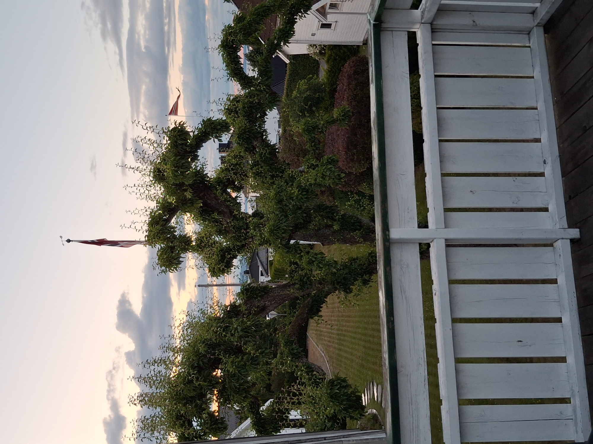 The image captures a tranquil scene from a balcony in Åsgårdstrand, Norway, overlooking a residential neighborhood during twilight. In the foreground, a weathered white wooden railing and deck frame the view. Beyond the railing, a meticulously manicured lawn with striped patterns stretches towards a curved pathway of stepping stones. A large, ornately pruned tree dominates the mid-ground, its branches extending outward and upward, creating a natural canopy. In the distance, several houses with dark roofs are nestled amongst lush greenery. Two Norwegian flags are visible, one prominently displayed on a flagpole with a weather vane, and another smaller flag fluttering gently. The sky above is painted with soft hues of pink and orange, with scattered clouds adding texture to the fading light. The overall atmosphere is one of peaceful domesticity and the beauty of a Norwegian summer evening.
