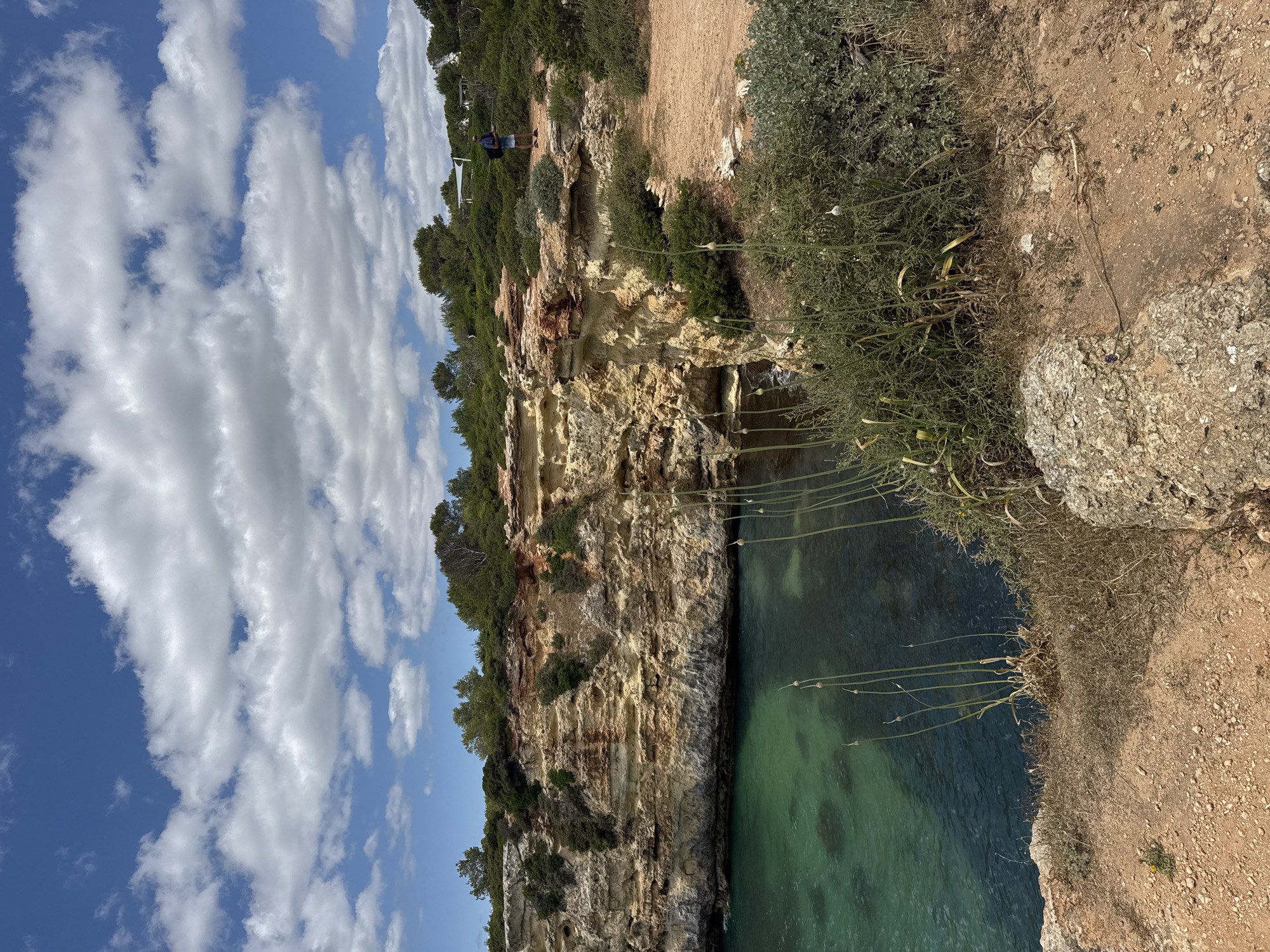 The image depicts a coastal scene in Unknown. A cliff, composed of tan and brown rock strata and topped with green vegetation, drops vertically into the water. The water is clear and green, and the bottom is visible in some areas. On the cliff edge is dry vegetation. The sky is blue with numerous white clouds. A person wearing blue and a backpack stands on the cliff edge in the distance.