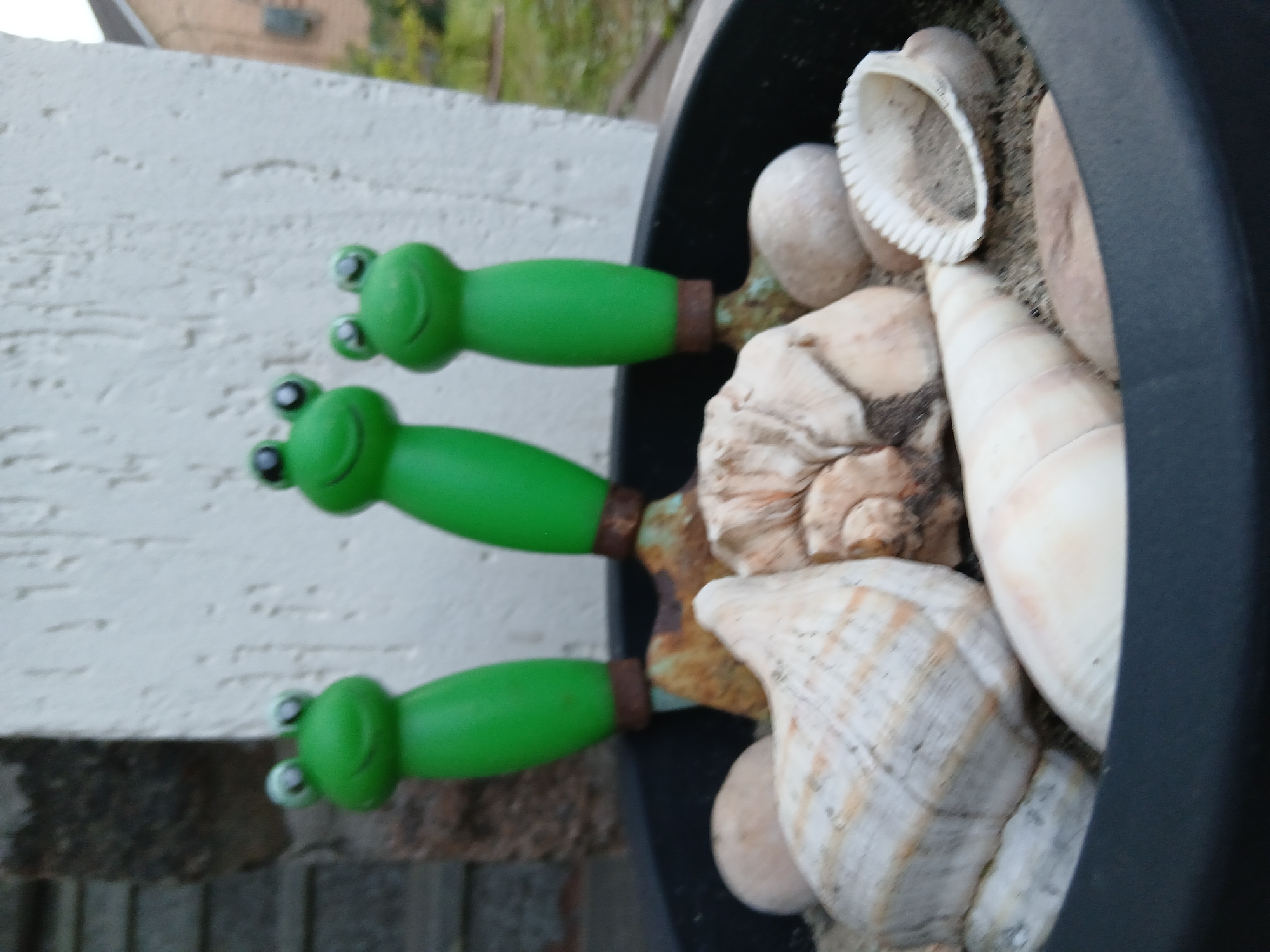 Three novelty gardening trowels with green frog-shaped handles are partially submerged in a black planter filled with sand, shells, and rocks. The trowels' metal parts are rusty and weathered. The planter is situated outdoors, in front of a textured white wall and a dark, possibly wooden, vertical structure. In the background, out of focus, a building with a brown roof and a grassy area are visible, suggesting a residential or garden setting. The overall impression is one of decorative garden elements. The image's context of Vita-Poshtova, Ukraine, indicates an outdoor location within a Ukrainian city.