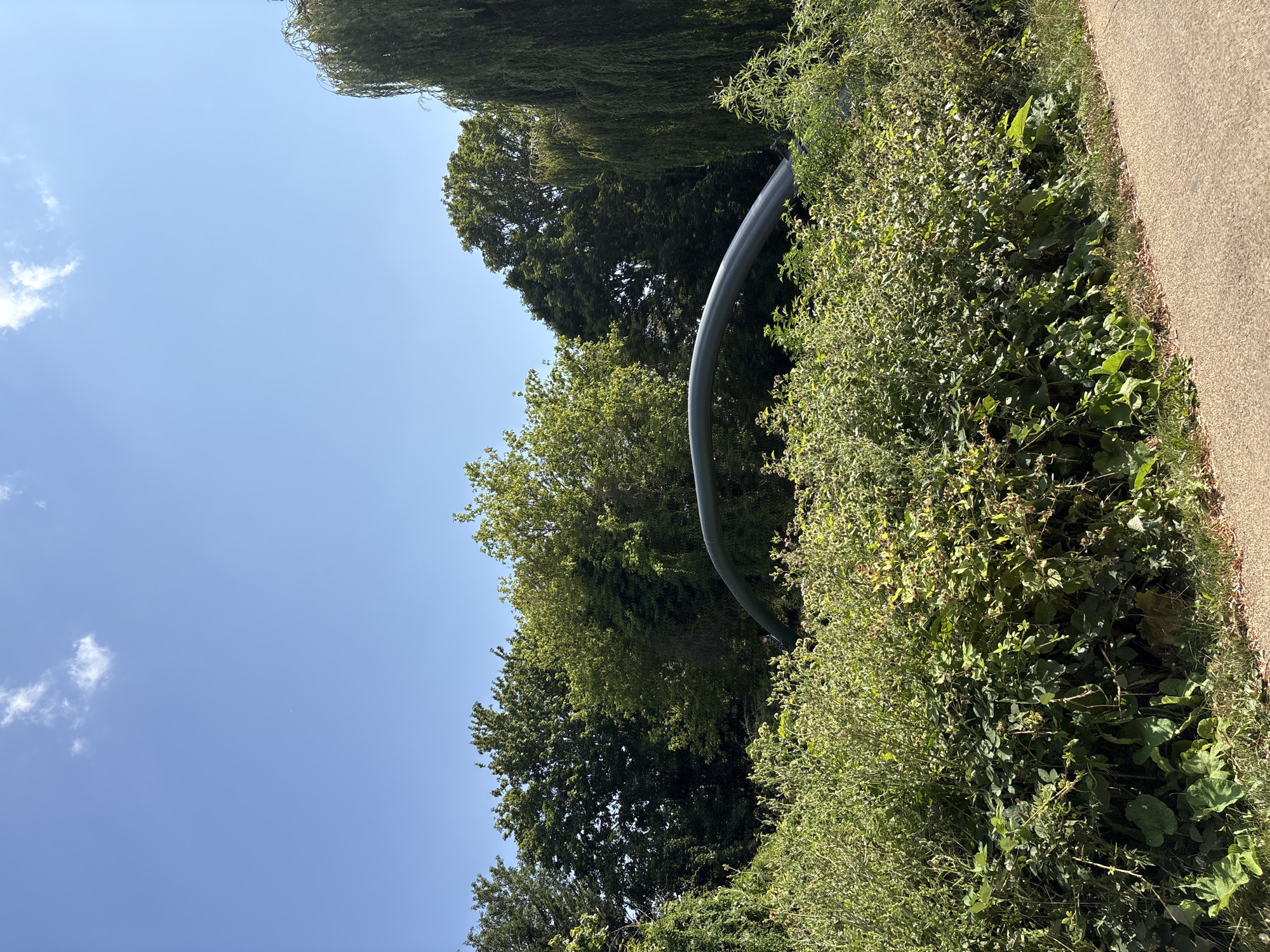 The image depicts an outdoor scene with lush green foliage and a clear blue sky. A dark, curved pipe is visible, arching over the vegetation. The scene appears to be a natural setting, possibly a park or a rural area, given the abundance of trees and plants. The sunlight suggests it is daytime, and the clear sky indicates fair weather. A paved pathway runs along the right side of the image, hinting at a man-made trail within this natural environment. There are no people or animals visible. The focus is on the interplay of the natural elements and the man-made pipe. The location is identified as Chelmsford, United Kingdom.