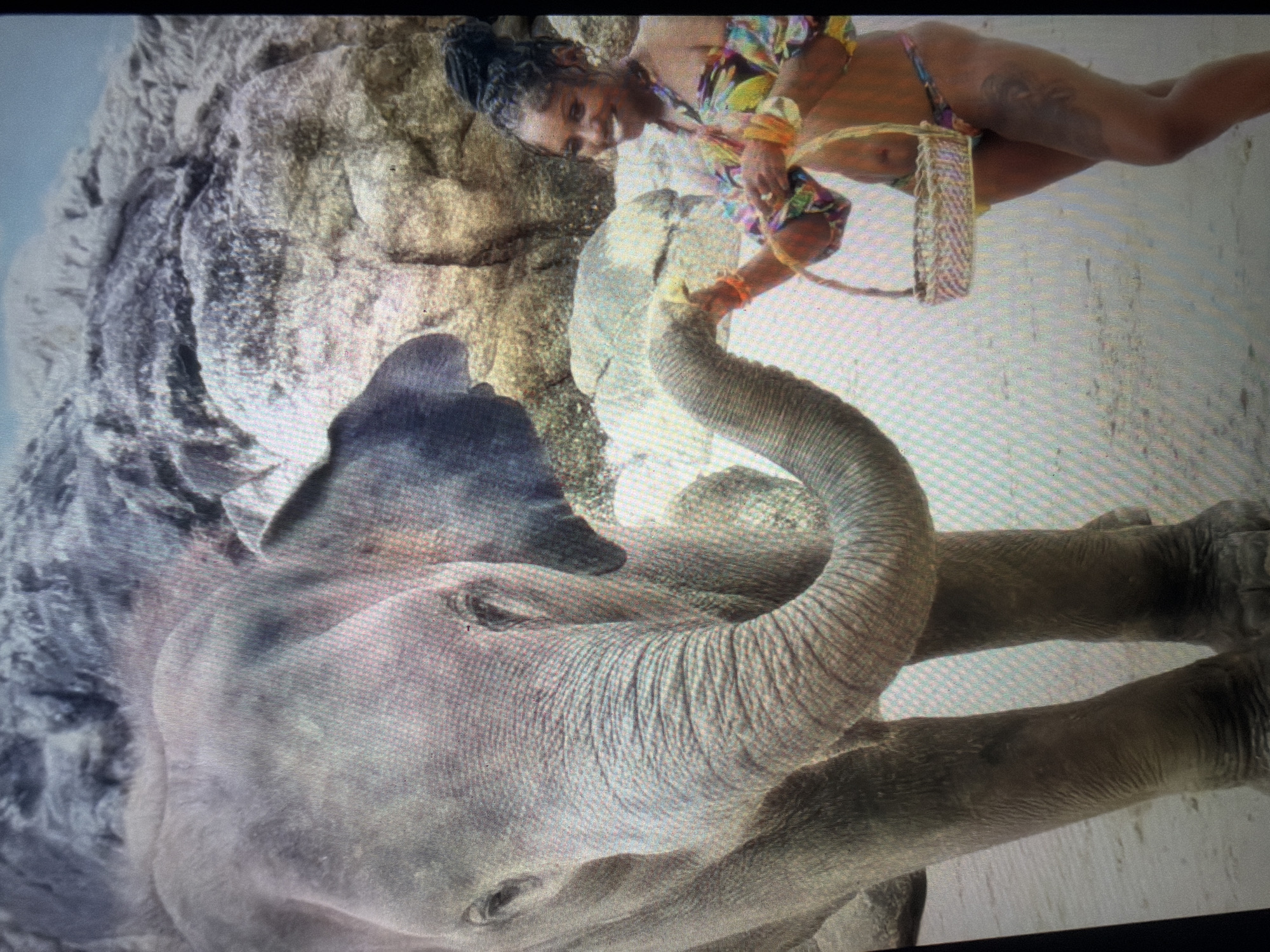 The image depicts a sunny outdoor scene on a sandy beach in the city of Shumen, Bulgaria, featuring a large elephant and an adult female. On the left side of the frame, a greyish-brown elephant stands, facing slightly towards the viewer and to the right. Its skin is visibly wrinkled, and its trunk is curled upwards, extending towards the woman's right hand. Its large ears are partially visible, and its four legs are grounded on the sand.
On the right side of the frame, a woman with dark skin and braided dark hair styled into a high bun is visible, smiling and looking towards the viewer. She is wearing a brightly colored, multi-patterned two-piece swimsuit, consisting of an off-the-shoulder top with long sleeves and a thong-style bikini bottom. Several orange bracelets and possibly other colored bands adorn both of her wrists. A necklace is also visible around her neck. Tattoos are visible on her right thigh.
The woman holds a small, light-colored woven wicker basket in her left hand, which hangs by her side. Her right hand is extended towards the elephant's trunk, offering a small, light-colored object, indicating an interaction where she is feeding the elephant.
The background consists of large, textured grey-brown rocks rising from the beach, with some lighter areas suggesting exposed surfaces or sand. A sliver of light blue sky is visible at the very top of the frame. The sand on the beach appears fine-grained and slightly damp in places. The entire scene is brightly illuminated, consistent with daylight.
