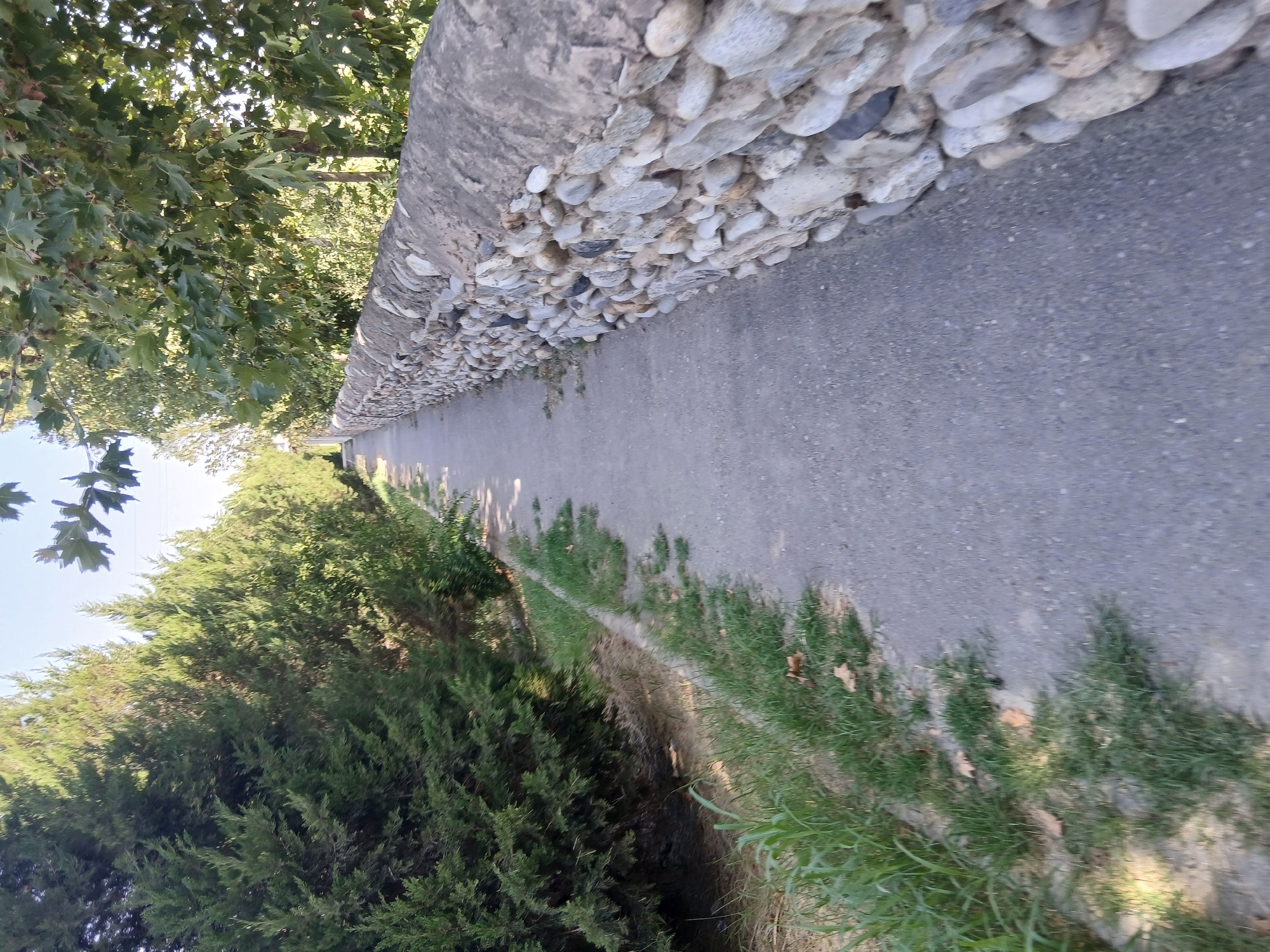 The image depicts a paved pathway running alongside a low, dry-stone wall constructed from various rounded stones, interspersed with concrete. To the left of the pathway, there is a strip of green grass and some dry foliage, followed by a line of tall evergreen trees. To the right of the wall, a row of mature trees with large, broad leaves can be seen, casting shadows on the path. The sky above is clear and blue. The overall scene suggests a natural or park-like setting within the city of Yangiarab, Uzbekistan, likely a recreational area or a roadside pathway lined with greenery and a decorative stone wall. There are no people or animals visible in the image. The perspective is low and forward-facing, as if the photographer is walking along the path.