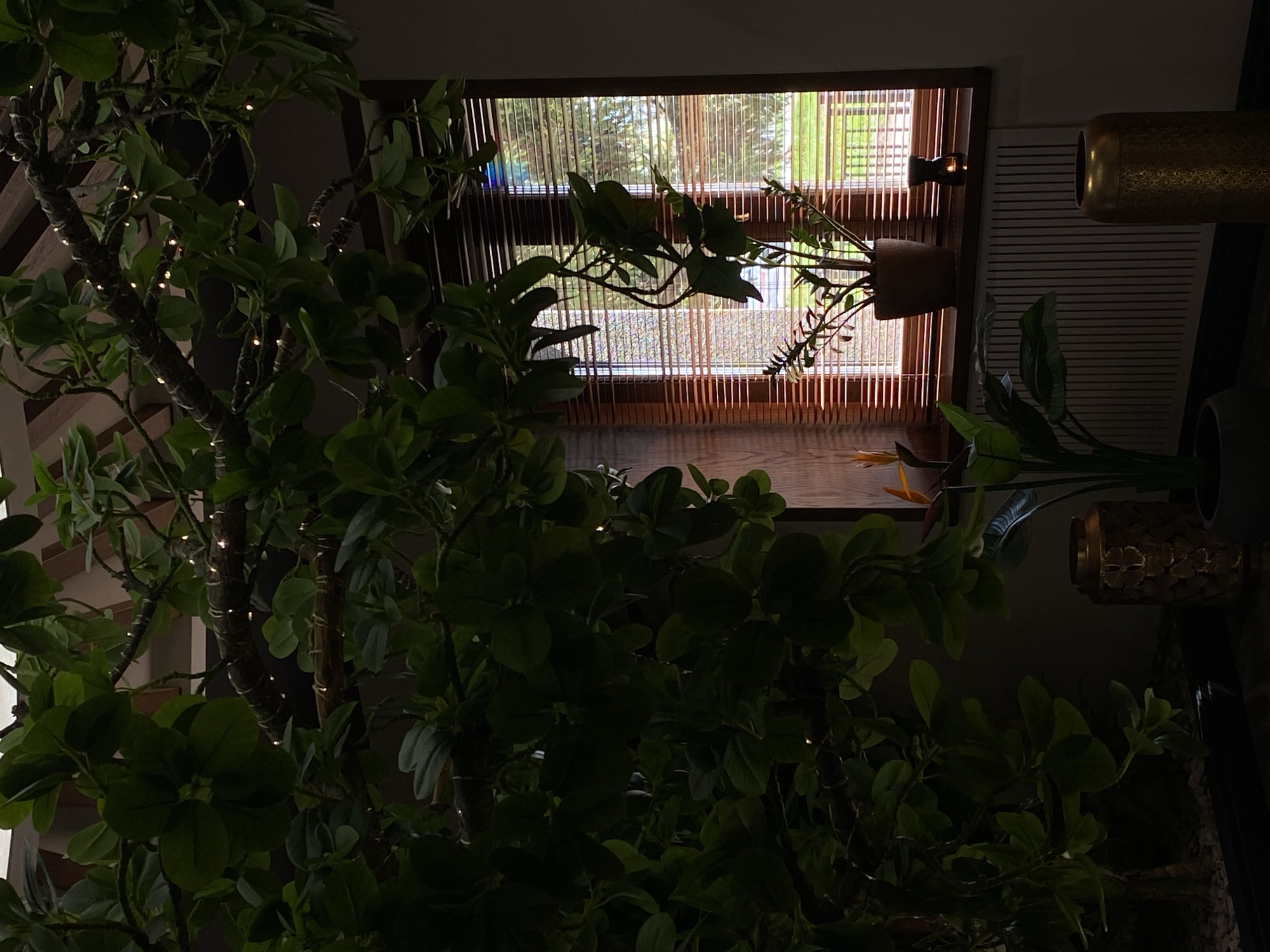 The image depicts an interior scene with a window covered by blinds allowing sunlight to stream through. In front of the window are two potted plants, one hanging. Another potted plant is on the right, near a gold-colored cylindrical object and a white radiator. A large leafy tree with small lights is in the foreground. The location is not discernible as Votkinsk, Russia or any specific geographic location.
