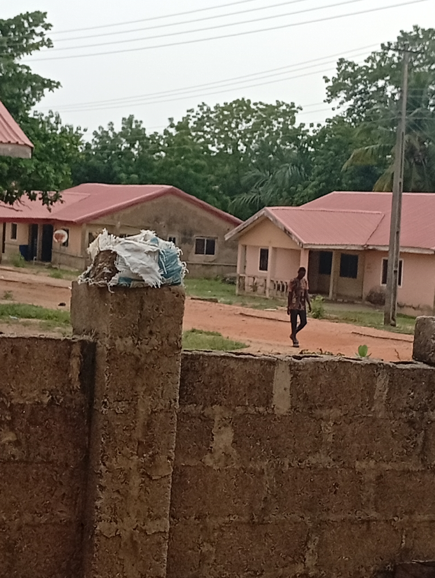 The image depicts a street scene in Adankolo, Nigeria. In the foreground, a brown concrete block wall partially obscures the view. Atop one of the wall's pillars sits a pile of debris partially covered by tattered white and blue material. Behind the wall, a man is walking on a dirt road. The background includes several single-story buildings with red roofs and tan walls. A dish antenna is visible on one of the buildings. Green trees are scattered throughout the scene, and power lines stretch across the overcast sky.