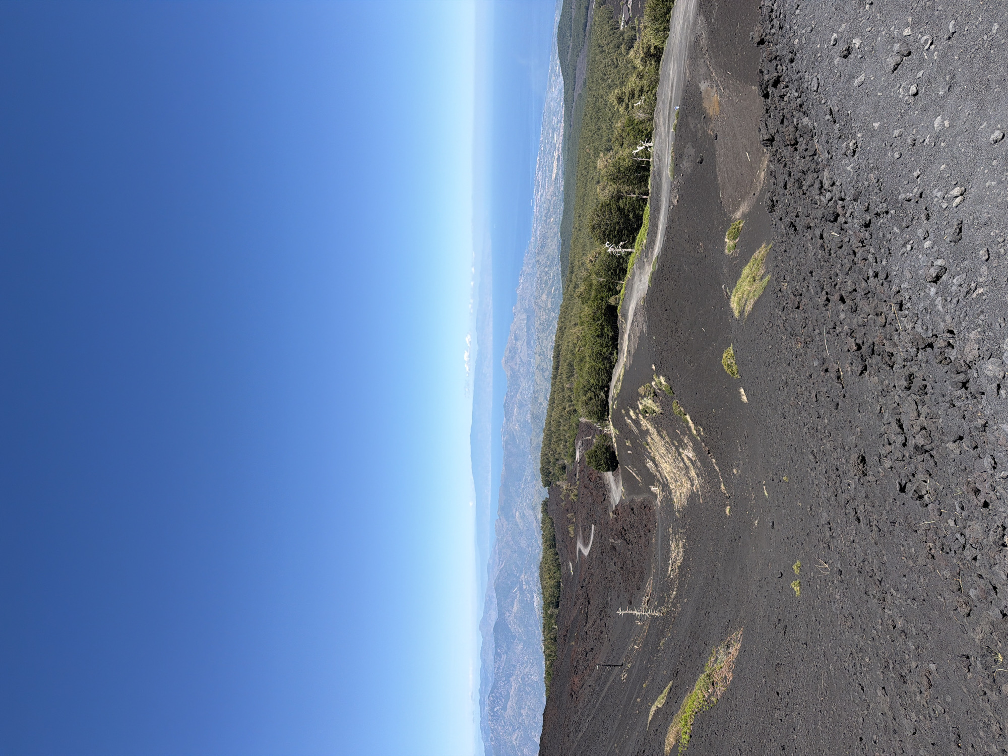 The image shows a volcanic landscape with a clear blue sky. In the foreground, the ground is covered with dark volcanic rock and ash. A dirt road winds its way up the side of the volcano, with sparse green vegetation growing in patches. In the middle ground, a line of trees forms a transition to a distant view of mountains and the sea. The sea is a deep blue, and a coastal city can be seen in the distance. The overall impression is of a remote and rugged natural environment. The scene is likely from Mount Etna, a volcano located near the city of Linguaglossa, Italy.