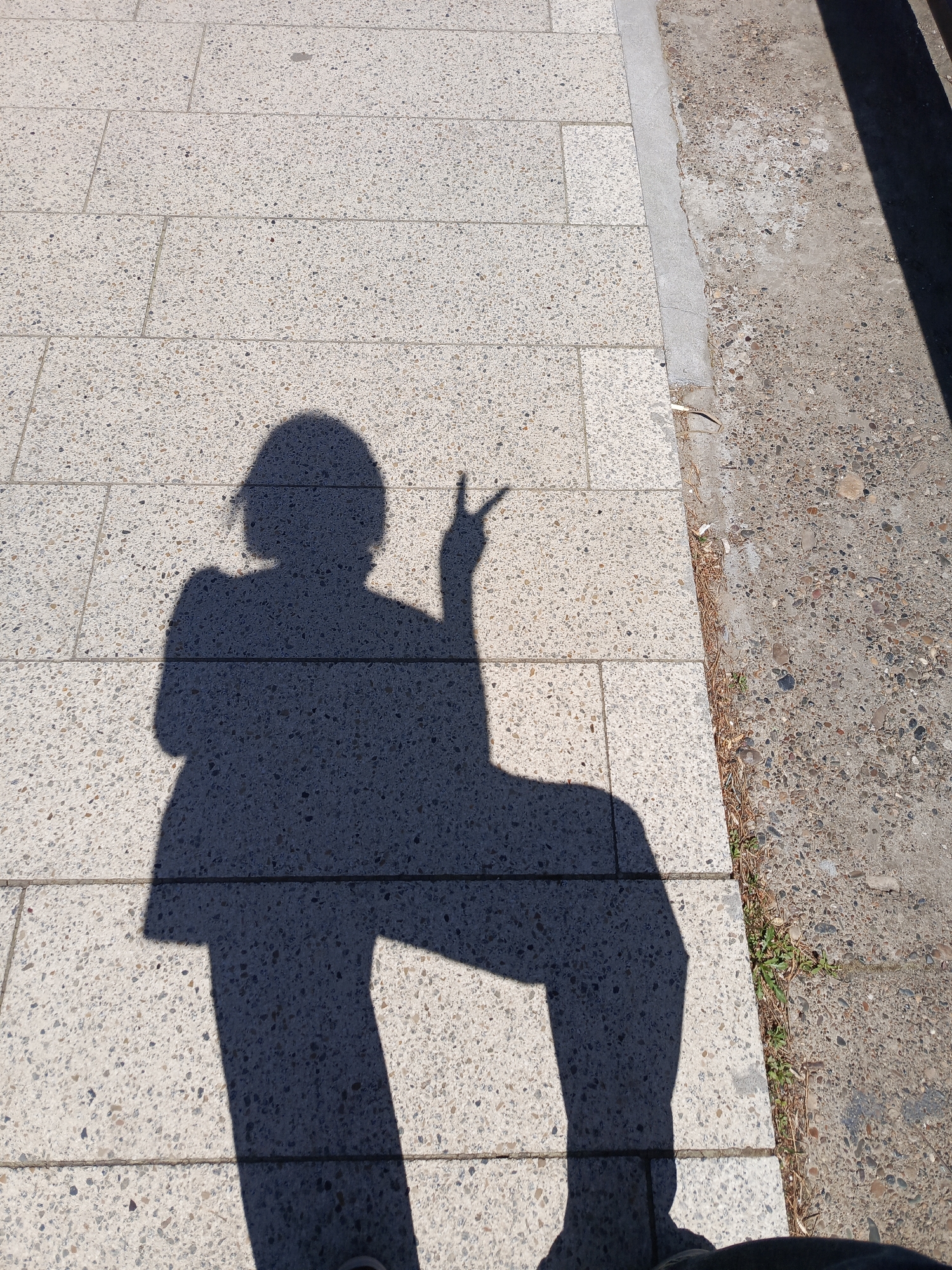 A shadow of a person is cast on a sidewalk paved with light-colored, speckled rectangular stones. The shadow depicts a person wearing a jacket and pants, with their right hand raised, extending the middle finger. The sidewalk is adjacent to a rougher, darker concrete surface. There are small bits of vegetation growing along the edge between the two surfaces. It is daytime, and the lighting is bright and direct, creating a sharp shadow. The person standing is located in Chaikovsky, Russia.