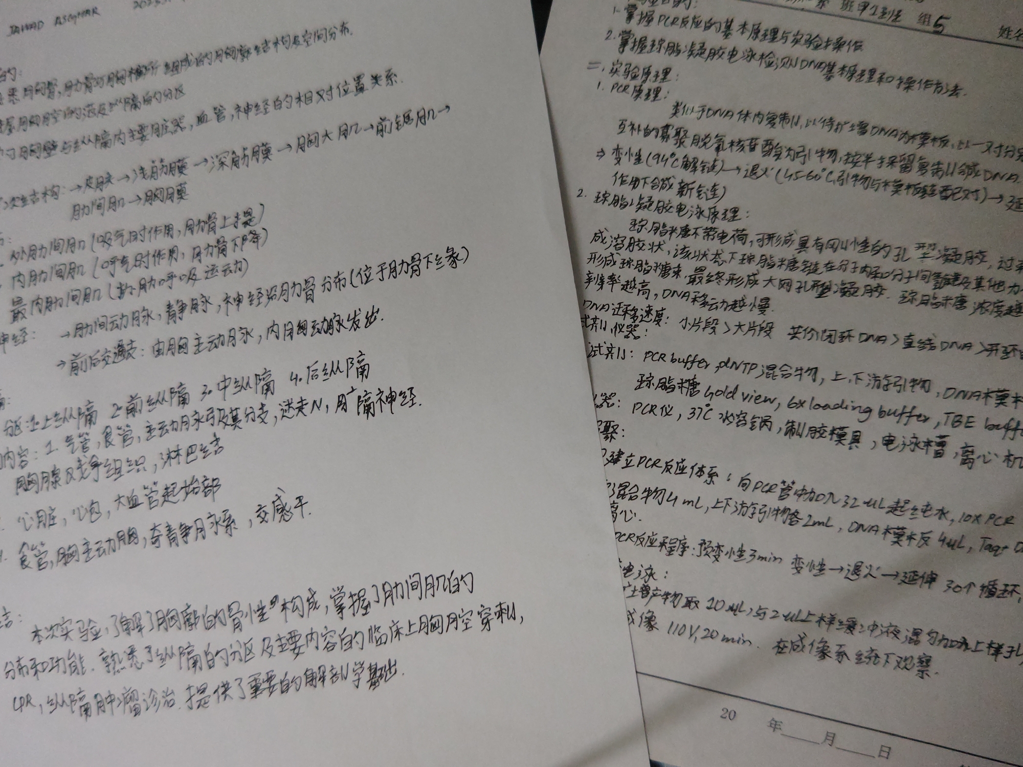 Memory