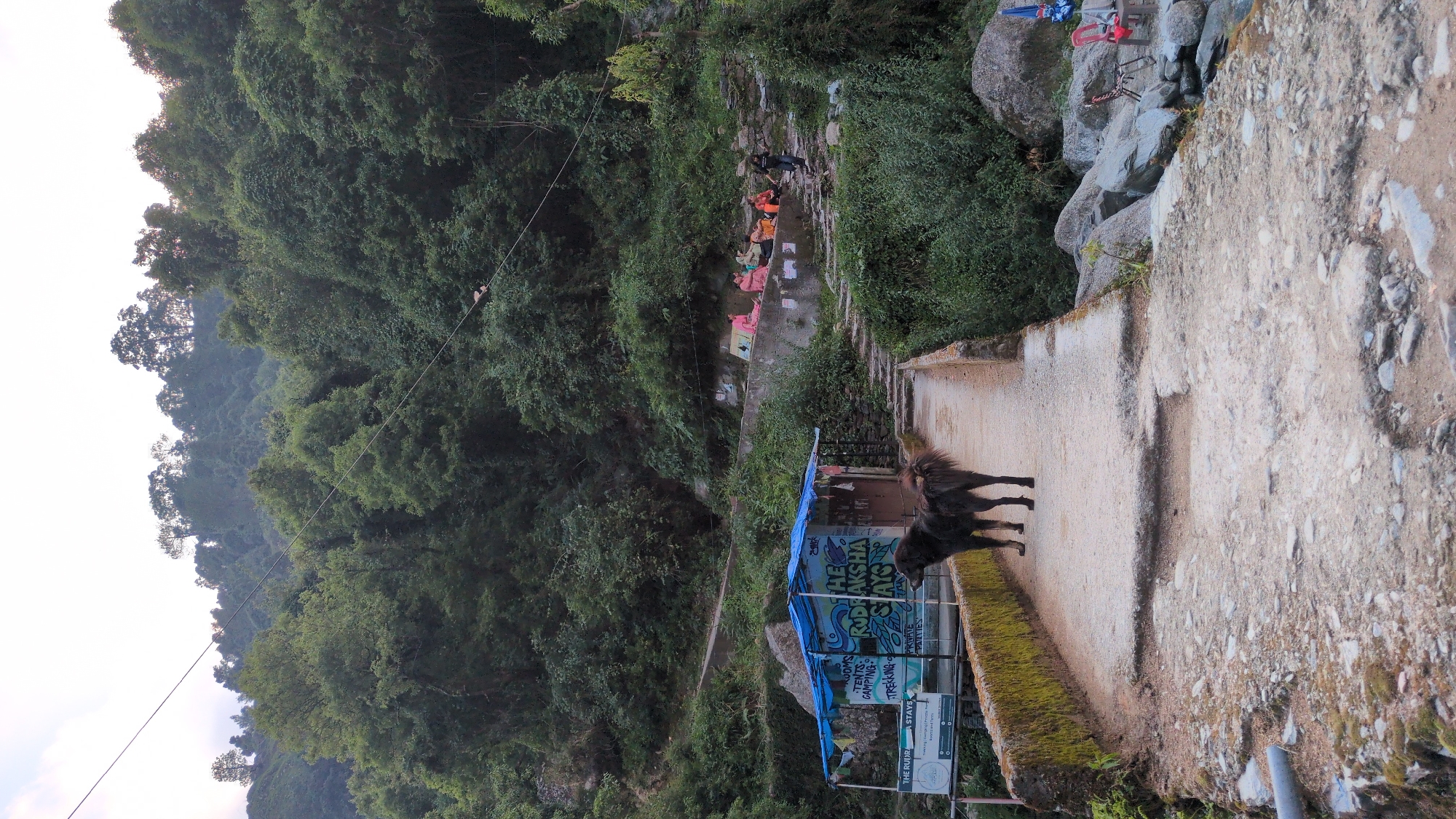 A long shot shows a path leading over a small bridge with a dog standing on it. The dog is dark brown and fluffy with its tail up. Behind the dog, a small building with a blue tarp roof is visible. On the other side of the path, several people are sitting on a ledge, some wearing colorful clothes. The background is dominated by lush green trees and foliage, with a hazy sky. The scene appears to be in a rural or natural setting, possibly near a stream or river, given the presence of rocks and water in the lower right corner. The overall atmosphere is peaceful and serene. This location is identified as Bhagsu Waterfall in Dharamshala, India.
