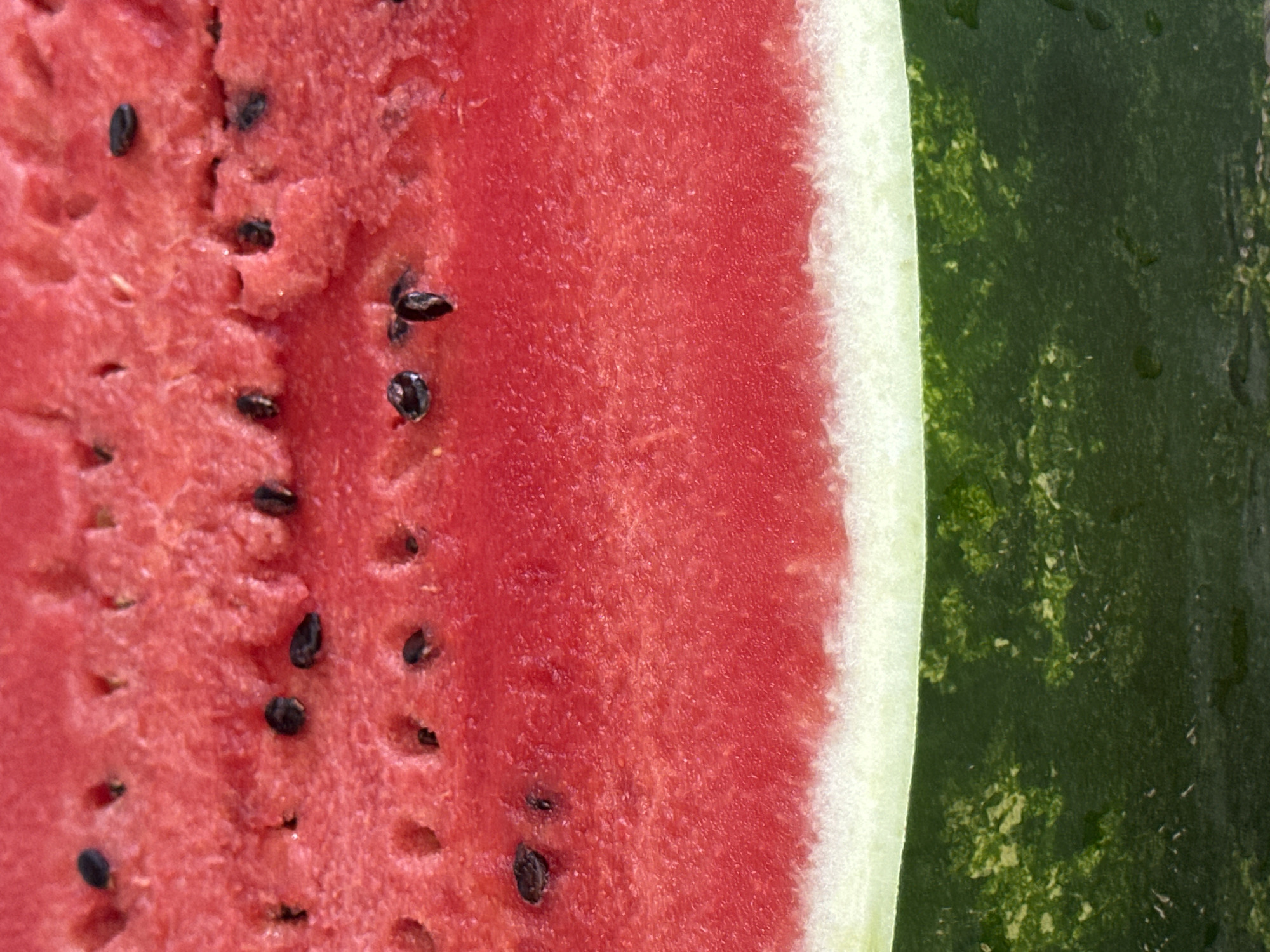 The image is a close-up, abstract shot of a sliced watermelon, showing the vibrant red flesh speckled with black seeds, transitioning to the white rind, and finally the dark green rind with lighter green speckles. There is no indication of the city of Nevinnomyssk, Russia, or any people, actions, or interactions. The scene is simply a detail of the fruit.