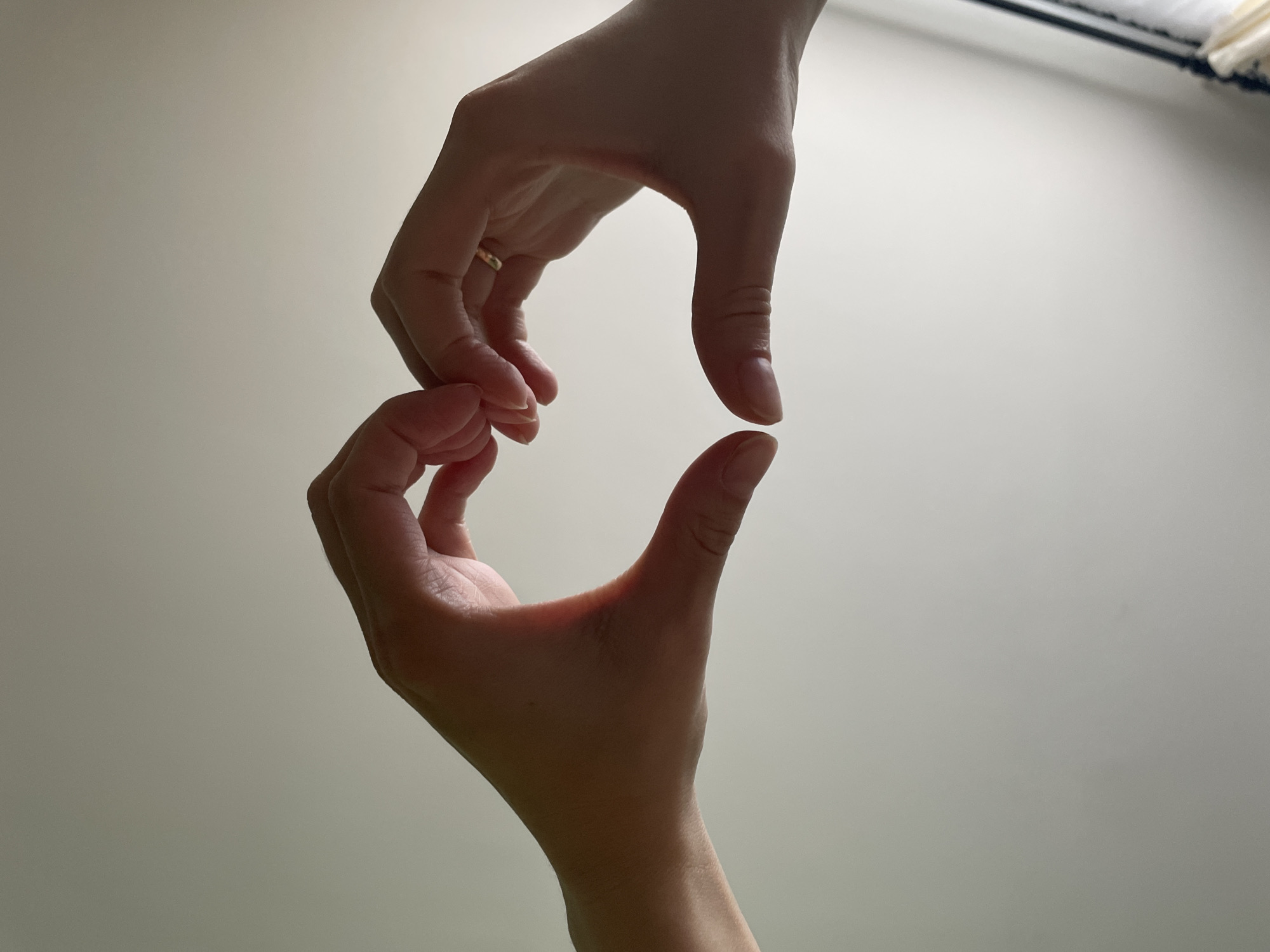 Two hands are positioned in the center of the frame against a plain, off-white background. The hand at the top is slightly darker and wears a gold ring on the ring finger. Its index finger and thumb are extended downward. The hand at the bottom has its thumb extended upward, and both thumbs are nearly touching. The fingers are not touching, creating a small gap. The lighting is diffused, giving the scene a soft appearance. There is no indication of the city of Chaikovsky, Russia, in this image.