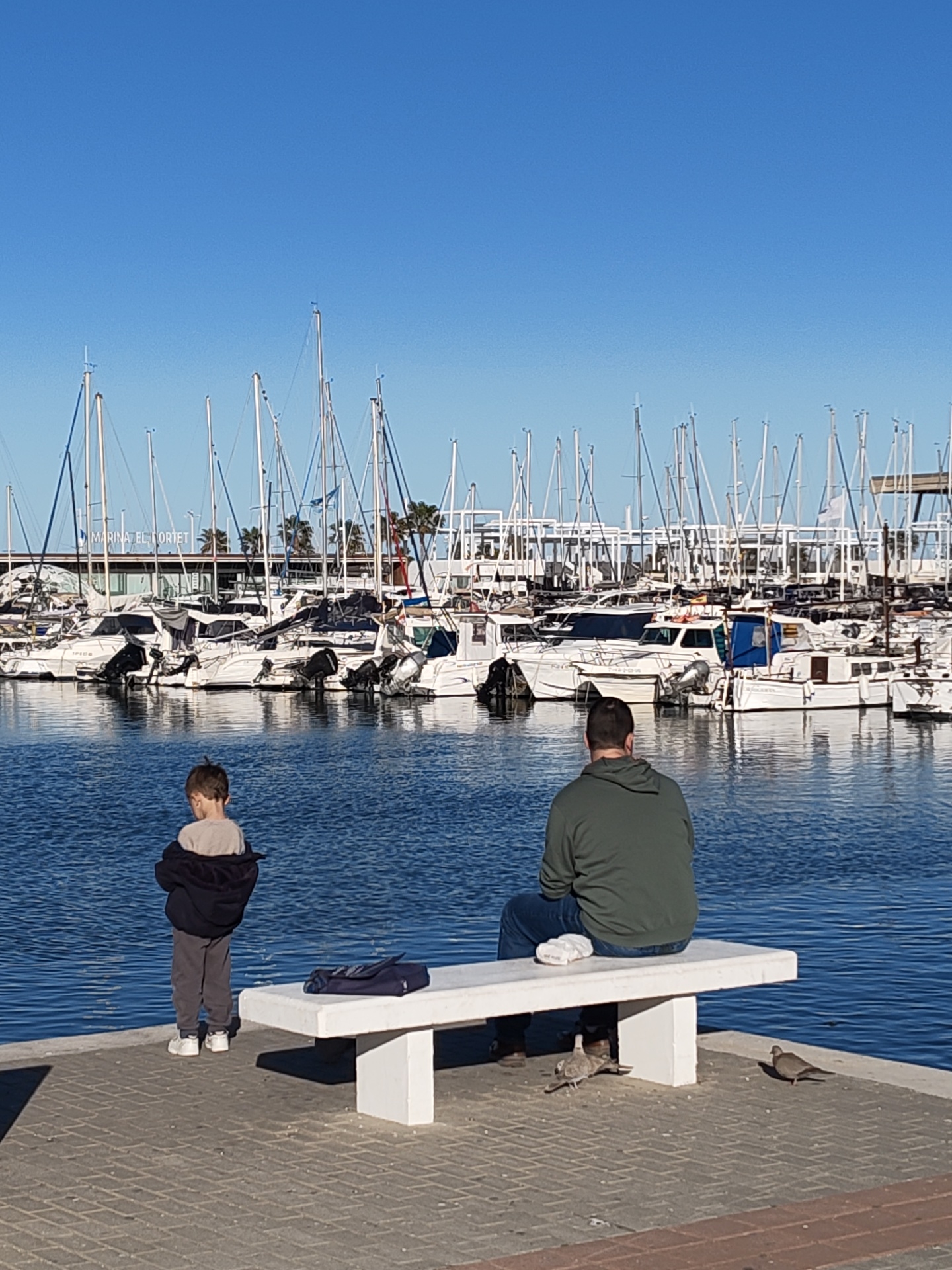 The image depicts a daytime scene at Marina el Portet in Dénia, Spain. A paved promenade in the foreground leads to calm, blue marina water populated by numerous moored boats, predominantly sailboats and motorboats. In the background, beyond the boats, a building structure with "MARINA EL TORTET" visible on its facade is present, accompanied by several palm trees.
Two individuals are visible on the promenade. An adult male is seated on a white concrete bench, with his back to the camera. He wears a dark green hooded sweatshirt and blue jeans. A small white object rests on the bench to his right, and a dark blue bag is placed on the bench to his left. A young child, appearing male, stands a few feet to the left of the adult, closer to the water, also with his back to the camera. The child wears a light-colored top, dark trousers, and white sneakers, with a dark jacket draped over his shoulders.
On the paved ground near the bench, two birds resembling pigeons are present. One is positioned directly under the bench, and the other is further right on the pavement. The sky is clear and blue, indicating fair weather conditions.
