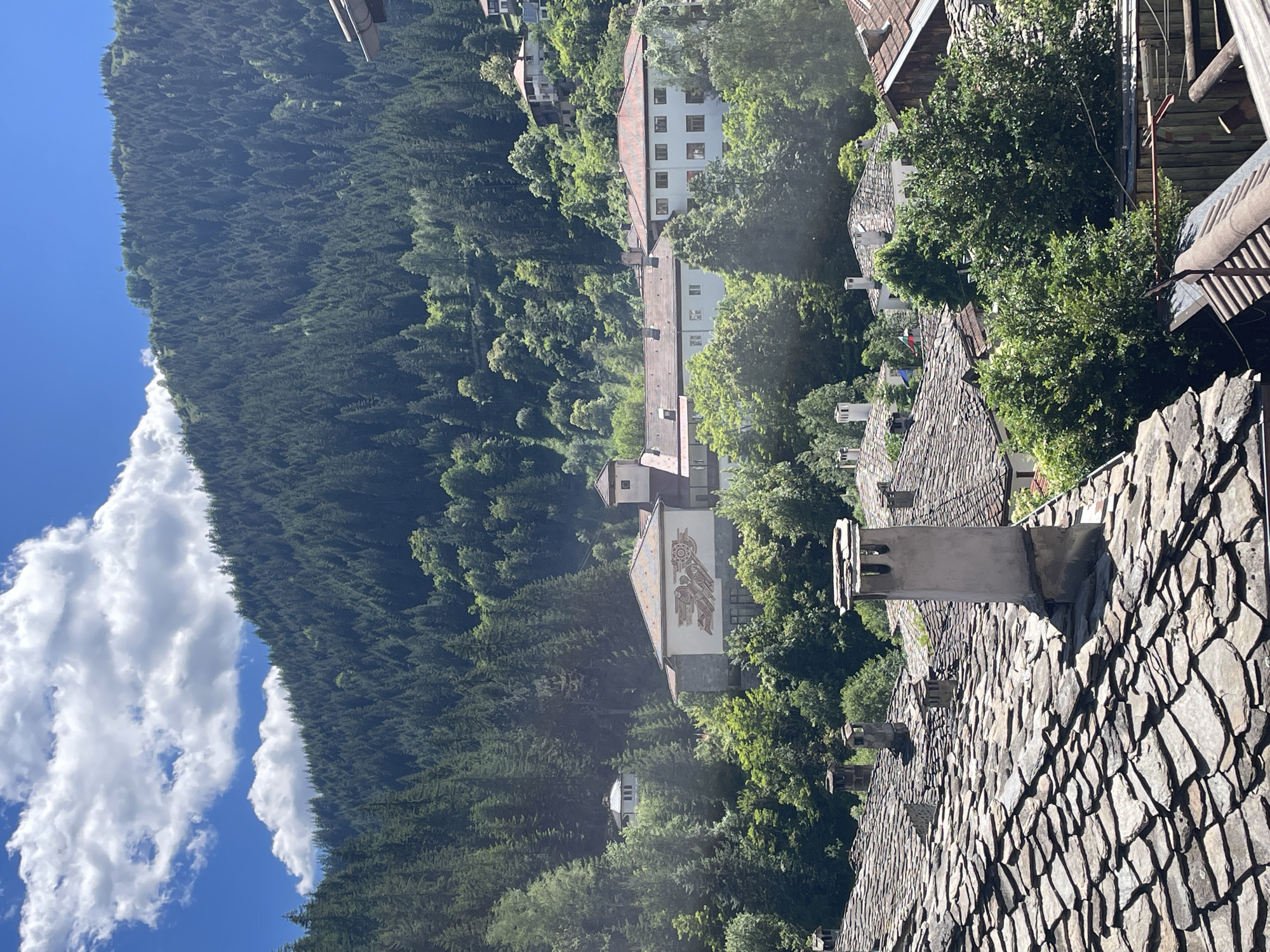 The image captures a picturesque view of Shiroka Laka, Bulgaria, showcasing traditional Rhodope architecture nestled within a verdant, mountainous landscape. In the foreground, weathered, slate-tiled roofs with prominent stone chimneys dominate the scene, indicating an older, well-established settlement. The roofs are layered and uneven, typical of historical building techniques.
Beyond the foreground, a cluster of larger buildings with red-tiled roofs emerges, interspersed with lush green trees. One prominent building features a white facade and a distinctive mural depicting a stylized, possibly mythological, figure or motif. Another building to its right is a larger, light-colored structure with multiple windows. These buildings appear to be part of a more institutional or public complex, perhaps a school or cultural center, given the mural and the scale.
The backdrop is a dense, rolling mountainside covered in a thick forest of evergreen trees, primarily pines. The forest stretches upwards, meeting a bright blue sky dotted with fluffy white clouds. The overall impression is one of tranquility and natural beauty, with the traditional village seamlessly integrated into the mountainous environment. The scene suggests a warm, sunny day, with the light casting shadows and highlighting the textures of the roofs and foliage. No people are visible in the image.