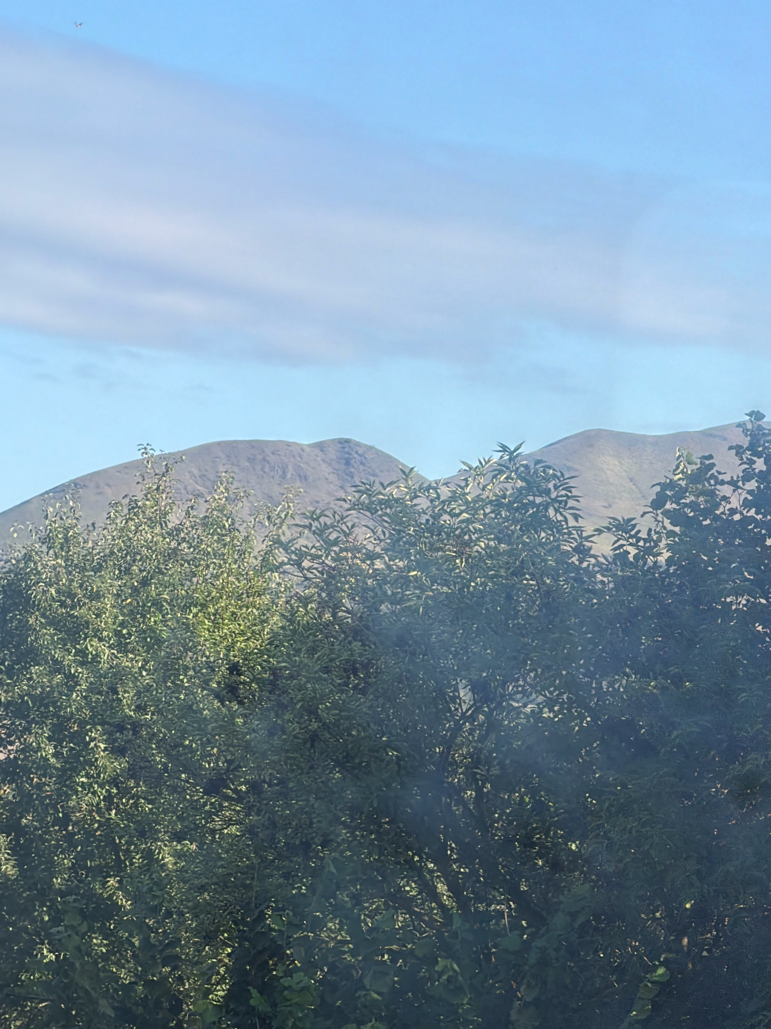 The image depicts a landscape featuring a mountain range under a clear blue sky with a few scattered clouds. In the foreground, lush green trees and foliage obscure the lower portion of the mountains. The overall scene suggests an outdoor, natural environment. The location of Lenešice, Czechia, is not evident from the visual information provided in the image.