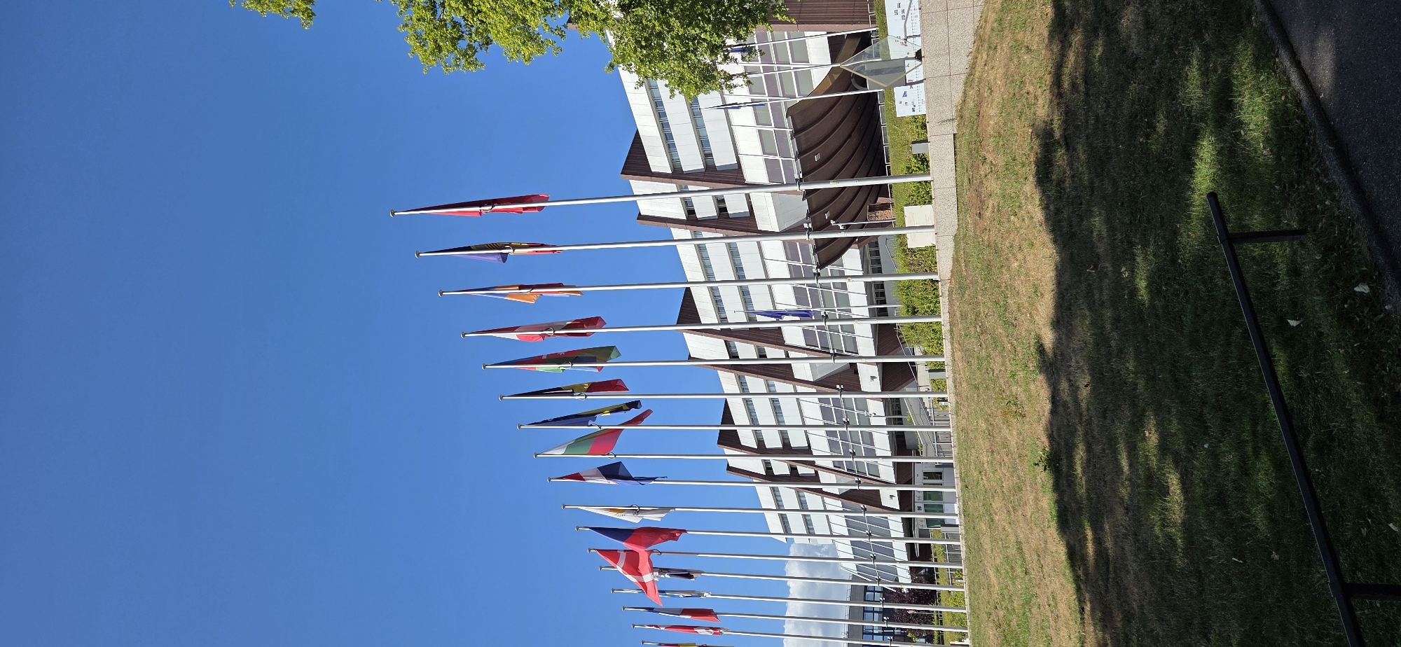The image depicts the European Court of Human Rights building in Strasbourg, France, under a clear blue sky. A line of national flags flies from poles on a grassy slope in the foreground, leading towards the modern, multi-story building. The building features a white facade with numerous windows and distinctive angled brown elements. Shadows from the flags and trees are cast across the grass. The scene is tranquil, with no people or animals visible. The overall environment is that of an institutional complex on a sunny day.