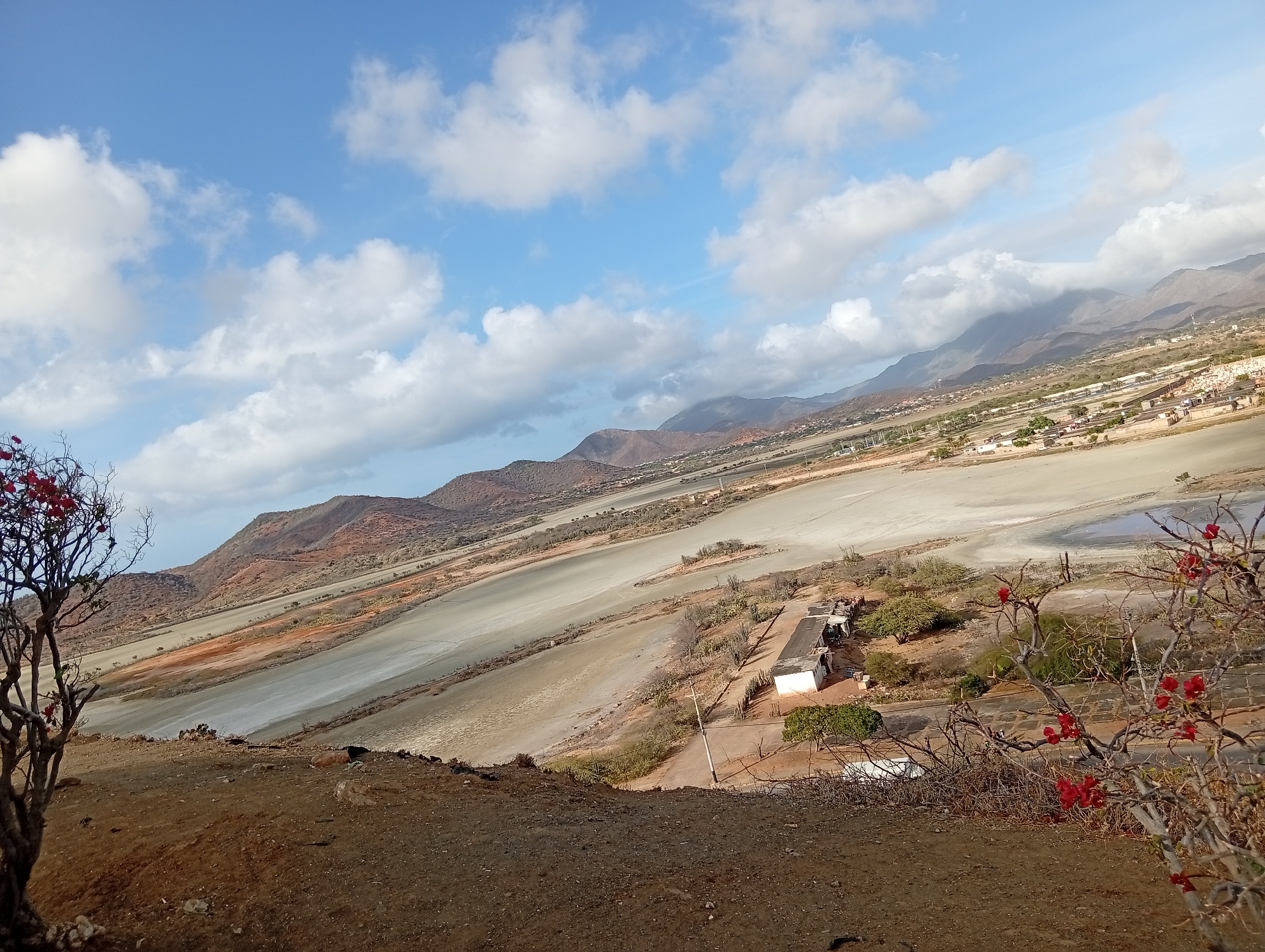 This is an outdoor scene overlooking a wide valley with mountains in the background, likely near the city of Juan Griego, Venezuela, due to the distinct terrain features characteristic of the area.
The valley floor appears to be a large, dry salt flat or a similar arid landscape, showing different shades of gray, white, and light brown. There are indications of dried water courses or shallow pools.
A small cluster of buildings is visible mid-ground, along with a dirt road.
The foreground features a dirt slope and a few sparsely vegetated shrubs and trees, some with reddish-pink flowers. The sky above is partly cloudy with a blue background. The angle is taken from an elevated position.