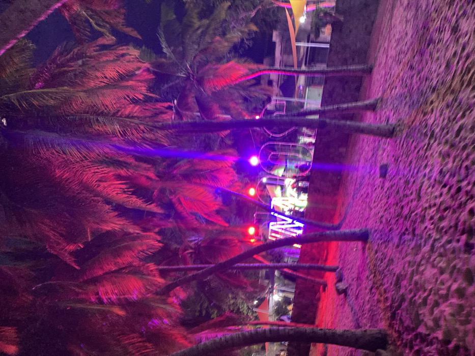 A beach scene illuminated by pink and purple lights is captured at night. Palm trees with red-tinged fronds line the perimeter. A sign with bright neon lights is visible in the background, hinting at a bar or restaurant. The ground appears to be sand. The overall impression is a vibrant, tropical nightlife atmosphere.