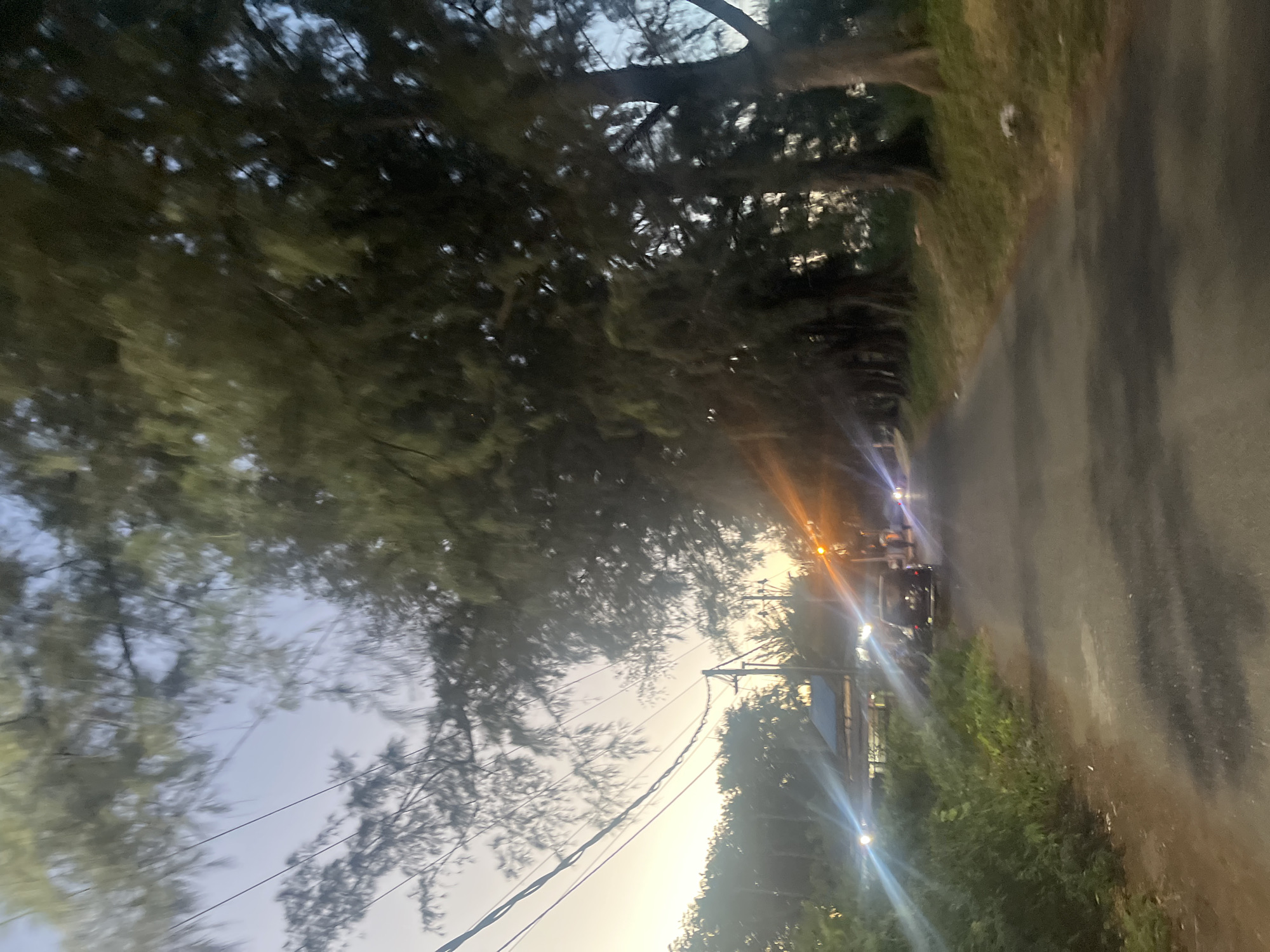 The image depicts a road in Banda Aceh, Indonesia, lined with tall trees, likely casuarina trees, commonly found in coastal areas. The sky is a pale orange and blue, suggesting either sunrise or sunset. Power lines are visible overhead. On the left side of the road, there is dense green vegetation and a small structure with a blue roof. Several vehicles are present on the road, including a dark-colored SUV and other cars, some with their headlights on, casting light flares. The road surface is asphalt. The overall impression is of a semi-urban or suburban coastal environment at dusk or dawn.