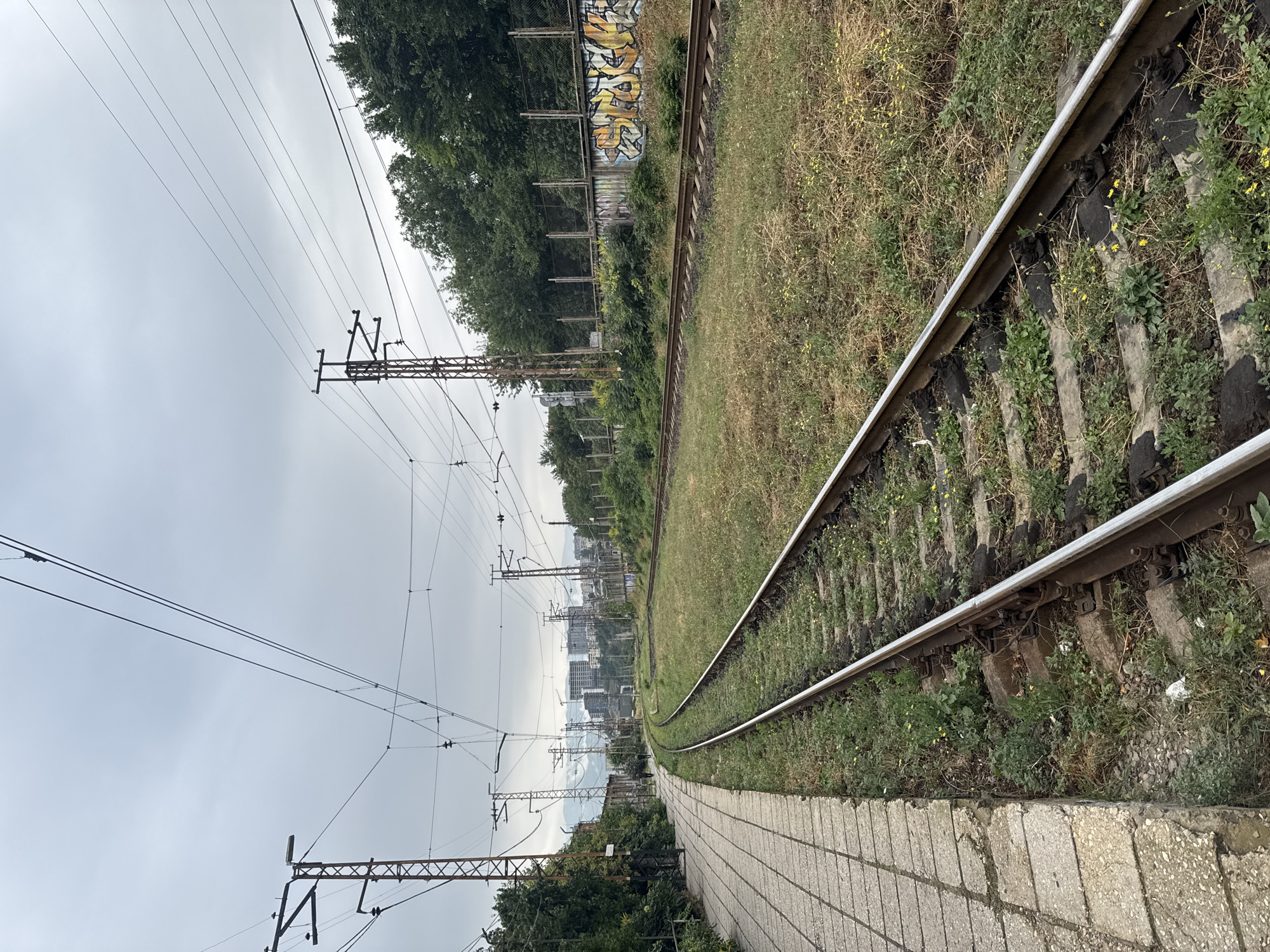 The image shows a view of a train track and platform in Tbilisi, Georgia. The train tracks are in the foreground, with overgrown grass and small yellow flowers on the sides. A tiled platform runs along the left side of the tracks, with two people walking away from the camera. In the background, there are several electricity poles with overhead wires, a line of trees, and buildings in the distance, some of which appear to be under construction with cranes visible. The sky is overcast, suggesting a cloudy day. Graffiti is visible on a wall behind the trees on the right side of the image.