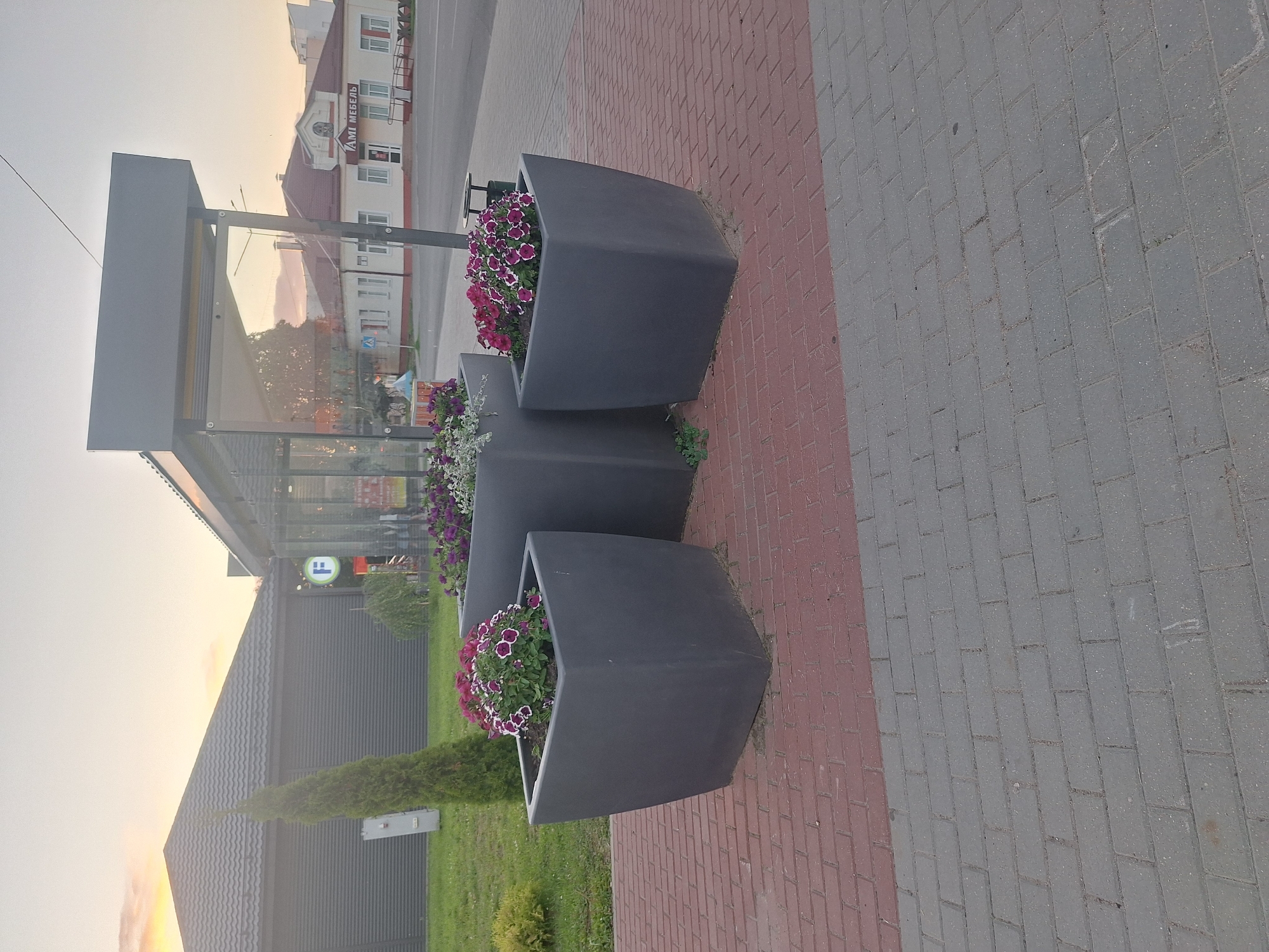 The image depicts a street scene in Капыльскі сельскі Савет, Belarus. In the foreground, three large, dark gray square planters are arranged on a red brick sidewalk. The planters are filled with flowering plants; two of them contain purple and white petunias, and the middle one contains purple flowers and some greenery. Behind the planters is a modern bus stop with a dark gray roof and glass walls. To the left of the bus stop is a tall, slender evergreen tree and a dark-colored building with a tiled roof. Across the street, there is a light-colored building with a red roof that has the text "АМІ МЕБЕЛЬ" in Cyrillic script above its entrance. The sky is a pale orange and yellow, suggesting it is either sunrise or sunset. The overall environment appears to be an urban or suburban area. There are no people visible in the image.