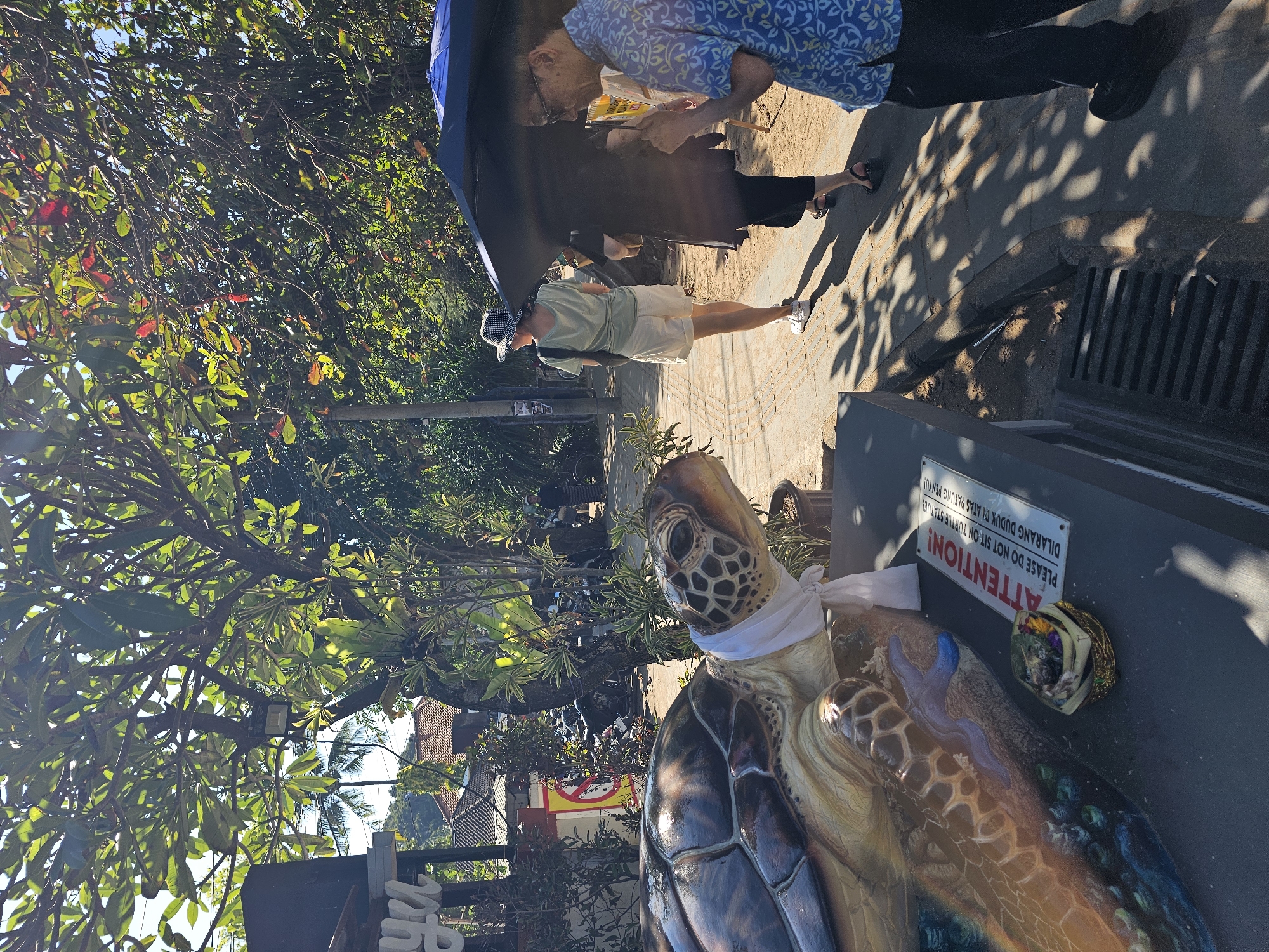 In Denpasar, Indonesia, a life-size statue of a sea turtle, adorned with a white cloth around its neck, is displayed outdoors on a dark pedestal. A sign on the pedestal reads "ATTENTION! PLEASE DO NOT SIT ON TURTLE STATUES. DILARANG DUDUK DI ATAS PATUNG PENYU." In the background, a person wearing a light-colored shirt, white shorts, and a patterned hat walks away from the camera. To their right, two other individuals are partially obscured by a large black umbrella. One person, wearing glasses and a blue patterned shirt, is holding what appears to be a phone. Behind them, more foliage and trees are visible, along with some buildings and parked motorcycles, suggesting an urban or semi-urban environment. The ground is paved with cobblestones and sand, and dappled sunlight filters through the trees, casting shadows on the ground.