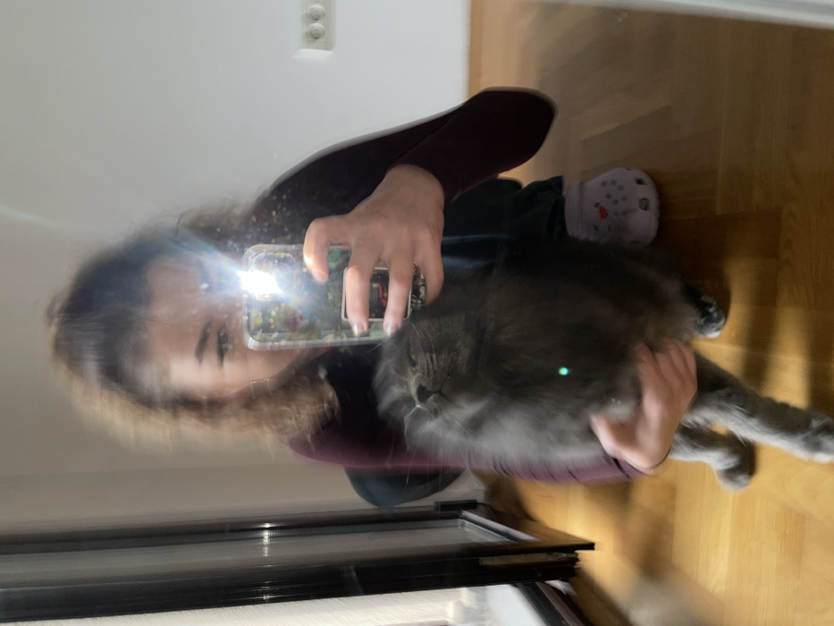 An indoor scene in Boreti, Montenegro, captured via a mirror selfie. A female individual, partially obscured by a bright smartphone camera flash reflection, holds a long-haired dark grey cat. The individual has light brown, curly hair pulled into a ponytail and wears a dark long-sleeved top and dark lower garments. Her right hand holds a smartphone with a patterned case, angled towards the mirror. The cat is held vertically, with its head tilted upwards and eyes partially closed, exhibiting motion blur. A small green light dot is visible on the cat's fur. The immediate environment includes light wooden parquet flooring, a plain white wall with a white double electrical outlet on the right, and a dark-framed window or glass door visible on the left. A single light purple Croc-style shoe with heart patterns is visible on the floor beneath the individual.