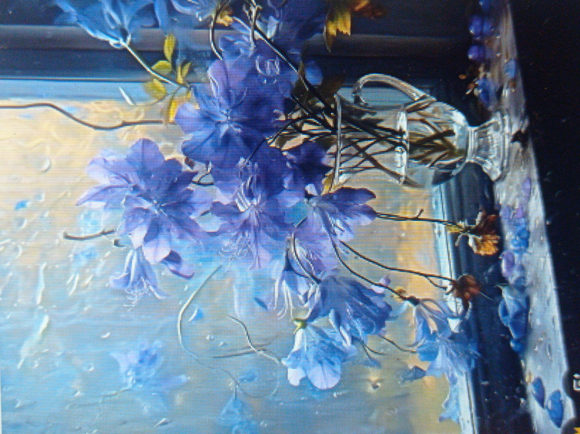 The image is a close-up, horizontal shot of a still life painting. The subject is a bouquet of blue flowers in a clear glass pitcher. The pitcher is sitting on a dark surface that appears to be a windowsill. Behind the flowers and pitcher is a window with raindrops on the glass, creating a blurry, ethereal background with hues of blue and yellow. Scattered on the windowsill are a few fallen petals. The painting style is soft and impressionistic. There are no people or animals in the image, and no discernable city details or specific location in Mukachevo, Ukraine.