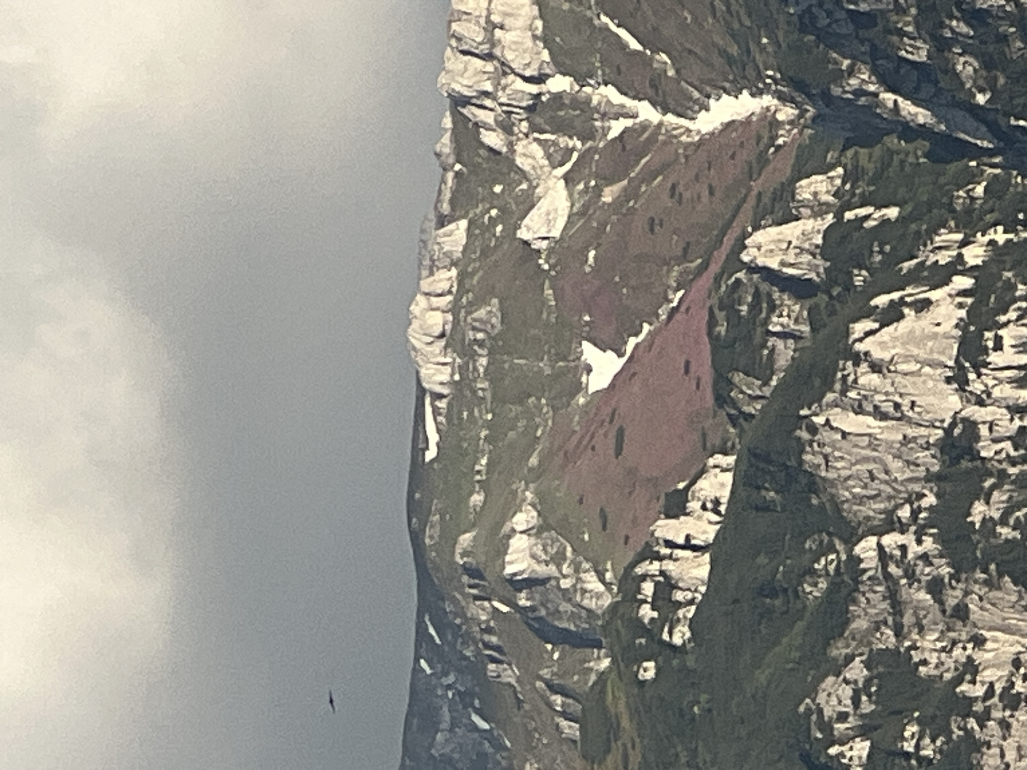 A wide shot captures a dark, overcast sky above a rugged mountain range. The mountains are characterized by sharp, rocky peaks, some of which are dusted with snow. Patches of green vegetation, including trees and shrubs, cling to the slopes, interspersed with areas of reddish-brown soil. A dark, silhouetted object, possibly a bird in flight, is visible in the upper left quadrant of the image against the sky. The overall impression is one of a remote, natural landscape under a moody sky.