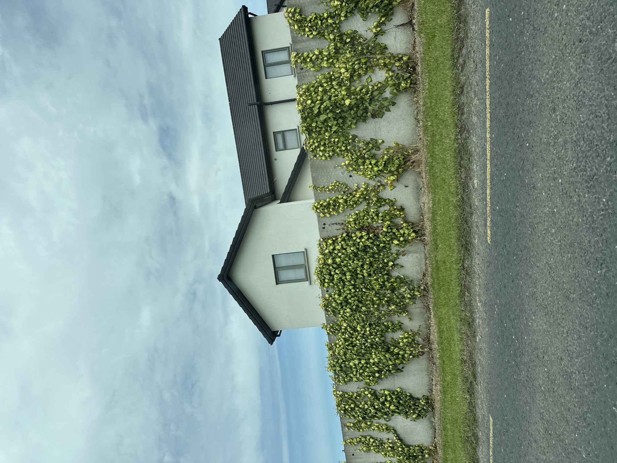 The image depicts a section of a modern house with a dark tiled roof and light-colored walls, partially obscured by a concrete wall covered in climbing ivy. The house has multiple windows visible. In front of the wall, there is a strip of green grass and a grey asphalt road with a yellow line painted on it. The sky above is cloudy with some patches of blue. The scene appears to be in a suburban or rural setting. The image appears to be taken from a moving vehicle due to the perspective and the slight blur of the road. There are no people or animals visible in the image.