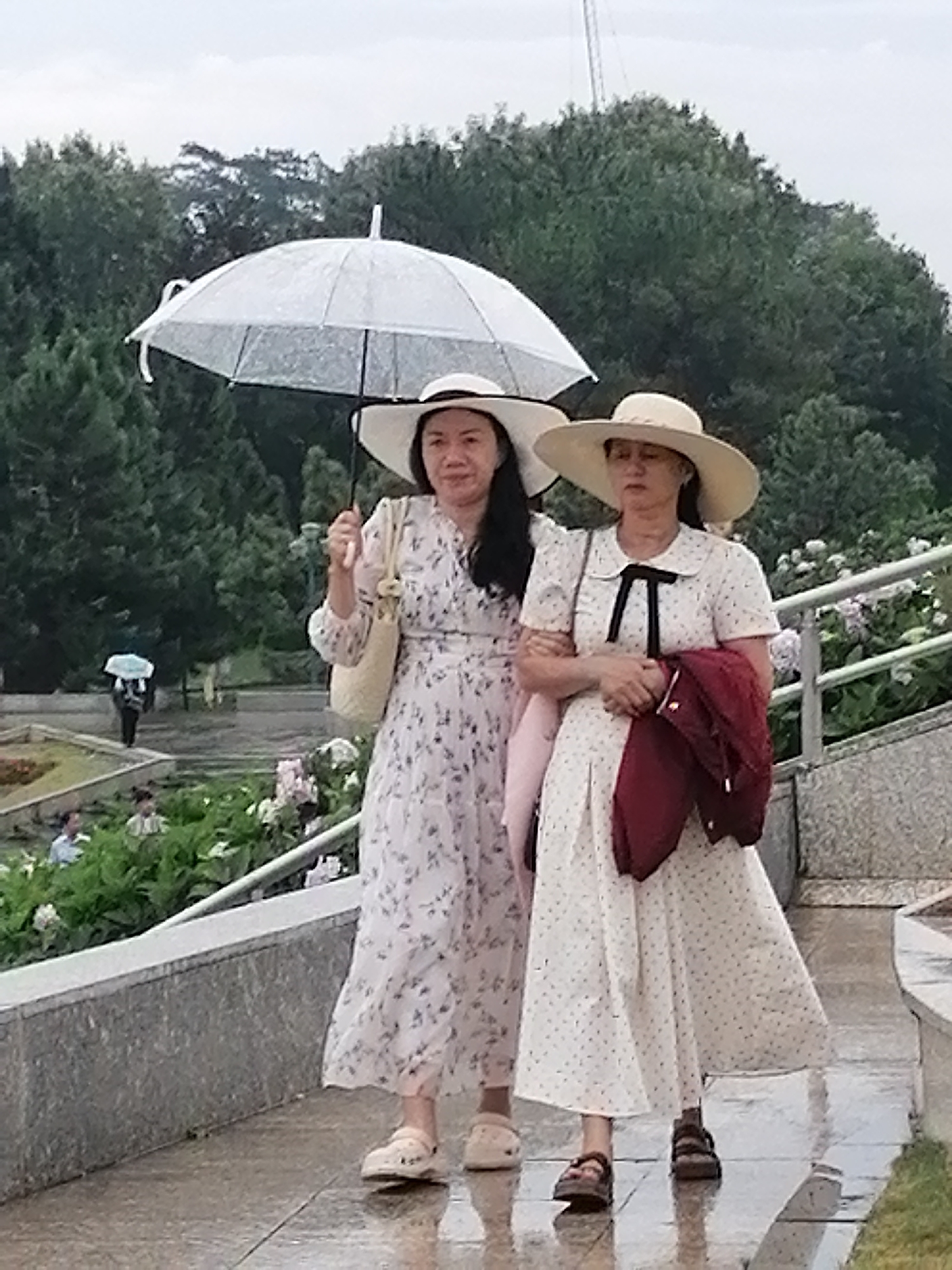 Two women, one holding a clear umbrella, walk on a wet paved walkway in Da Lat, Vietnam. The woman on the left wears a floral print dress and a wide-brimmed hat, and carries a beige woven bag. The woman on the right wears a polka dot dress with a black bow at the collar, also a wide-brimmed hat, and carries a maroon jacket. They appear to be walking together, with the woman on the right's arm linked through the woman on the left's arm. The environment suggests a park or garden setting, with lush green trees and foliage visible in the background, and blooming flowers in the mid-ground. The walkway is wet, indicating recent rain.