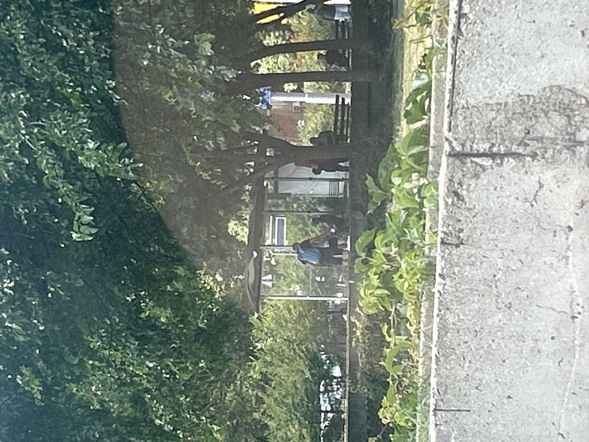 The image shows a bus stop in Plovdiv, Bulgaria, with several people present. The bus stop is a modern structure with glass walls and a roof, and it is surrounded by trees and greenery. In the foreground, a concrete barrier runs across the image, with some plants growing on top of it. Behind the barrier, the bus stop is visible, with a few individuals waiting or sitting. One person in the center of the image is wearing a blue backpack and dark shorts. Other people are seated on benches or standing. The environment appears to be a park or a public space within the city.