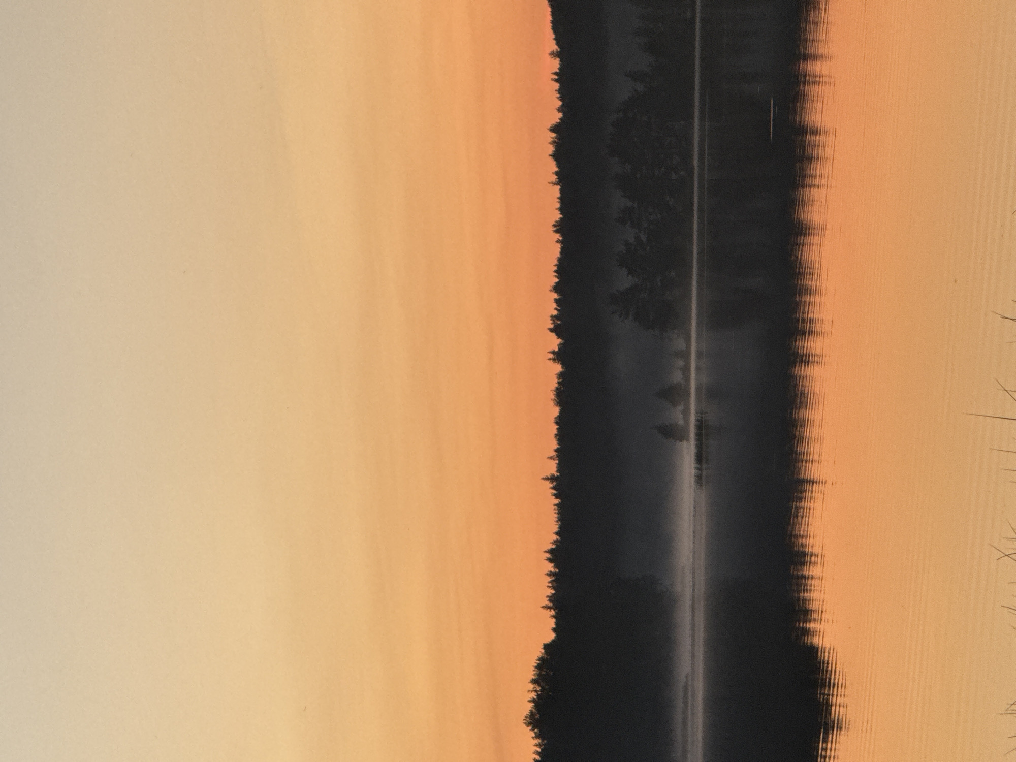 This is a landscape photograph taken at dawn or dusk, likely in the city of Отдых Снт, Russia. The image depicts a serene natural scene with a body of water in the foreground and a dense forest along the horizon. The sky is a gradient of warm orange and yellow hues, suggesting the presence of the sun just above or below the horizon. A thin layer of mist or fog hovers over the water near the shoreline, adding to the tranquil atmosphere. The reflection of the trees and the sky on the calm water creates a symmetrical effect, enhancing the overall beauty of the scene. There are no people or man-made structures visible in the image, emphasizing the natural and untouched aspect of the location. The foreground shows the texture of the water with subtle ripples, and the faint outlines of reeds or grass can be seen at the bottom edge of the frame. The overall impression is one of peace and natural beauty.