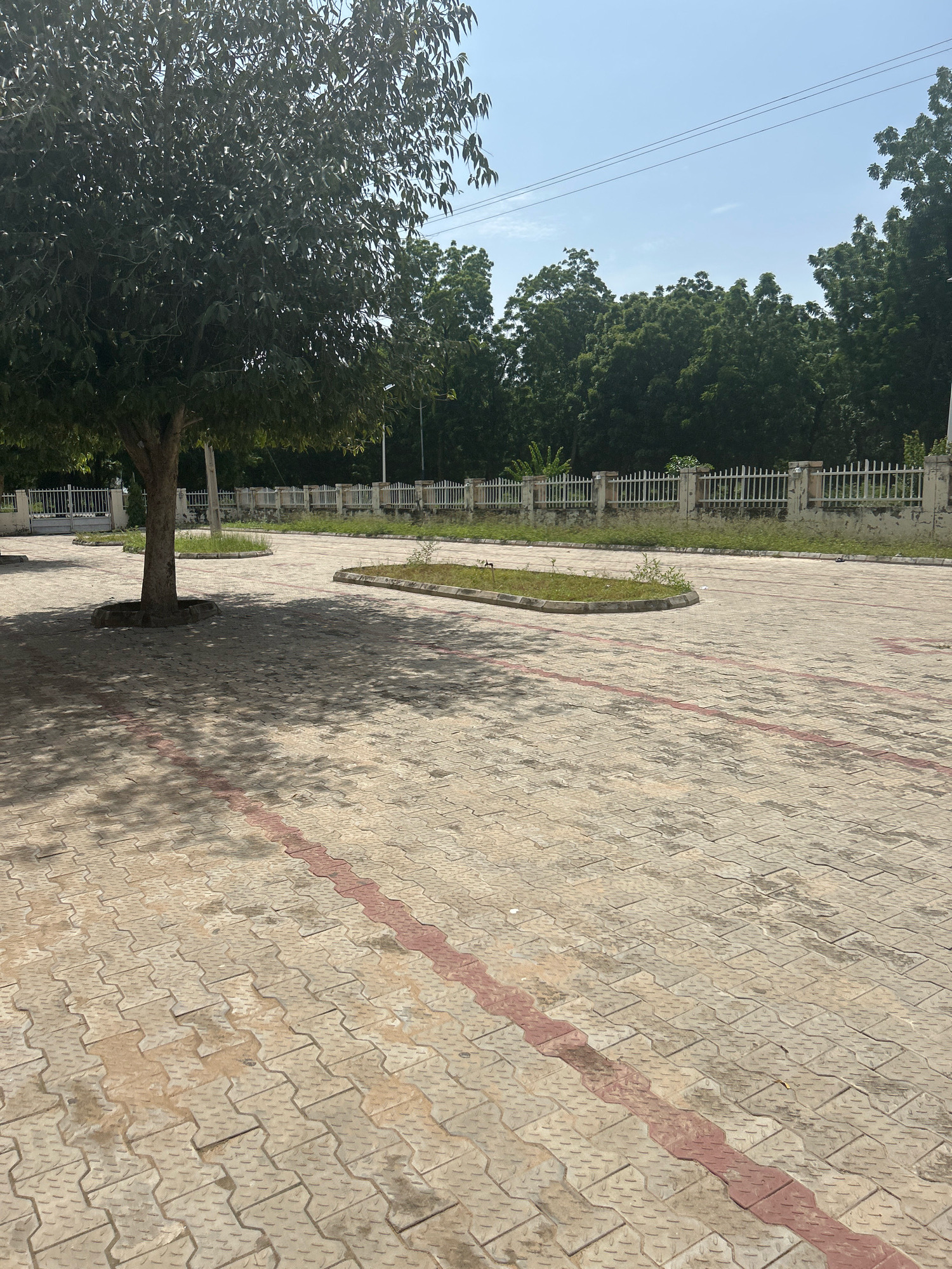 The image depicts an outdoor paved area with interlocking concrete blocks in Mairi, Nigeria. A large tree stands prominently on the left side of the frame, casting shadows on the pavement. In the background, a white metal fence with concrete posts separates the paved area from a line of lush green trees. The sky is a clear blue with a few faint clouds and overhead power lines are visible. The scene appears to be an open space, possibly a parking lot or public square, with minimal activity evident. The pavement has a reddish-brown stripe running through it.