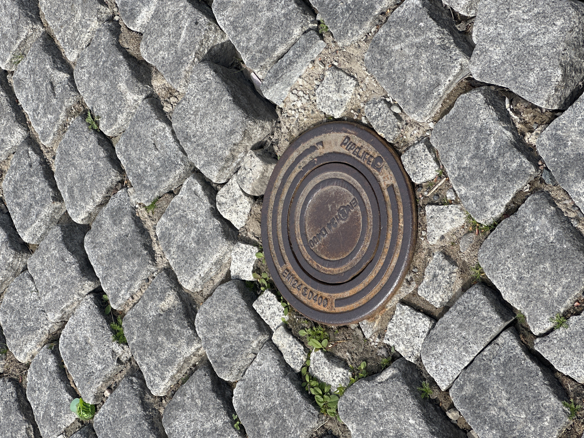 A manhole cover with concentric circles and engraved text, including "EN124 ED400" and "PIPELIFE", is set into a cobblestone pavement. The cobblestones are irregularly shaped and gray, with some small green plants growing between them. The scene is outdoors, under natural light, suggesting a street or public area.