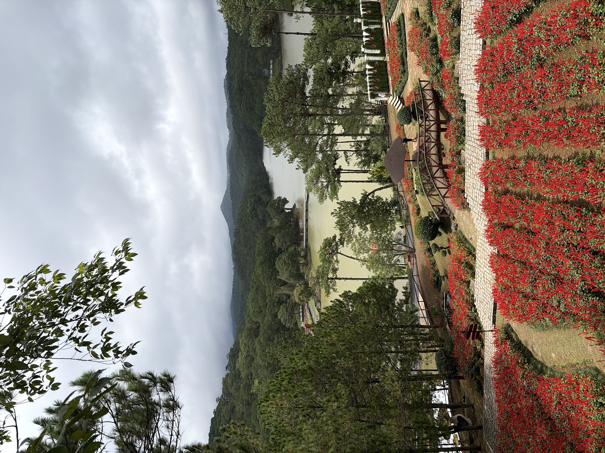 The image depicts a scenic overlook in Lâm Viên - Đà Lạt, Vietnam, featuring a serene lake surrounded by lush green hills and dense pine forests. The foreground is adorned with vibrant rows of red flowers, interspersed with paved pathways and a charming wooden bridge leading to a small gazebo. In the background, the lake stretches out, reflecting the overcast sky and the distant mountains. A sign with Vietnamese text is visible near the lake's edge, likely indicating the location. A few individuals are present in the scene, enjoying the tranquil atmosphere and the natural beauty of the landscape. The overall mood is peaceful and picturesque, showcasing a popular tourist spot known for its natural attractions.