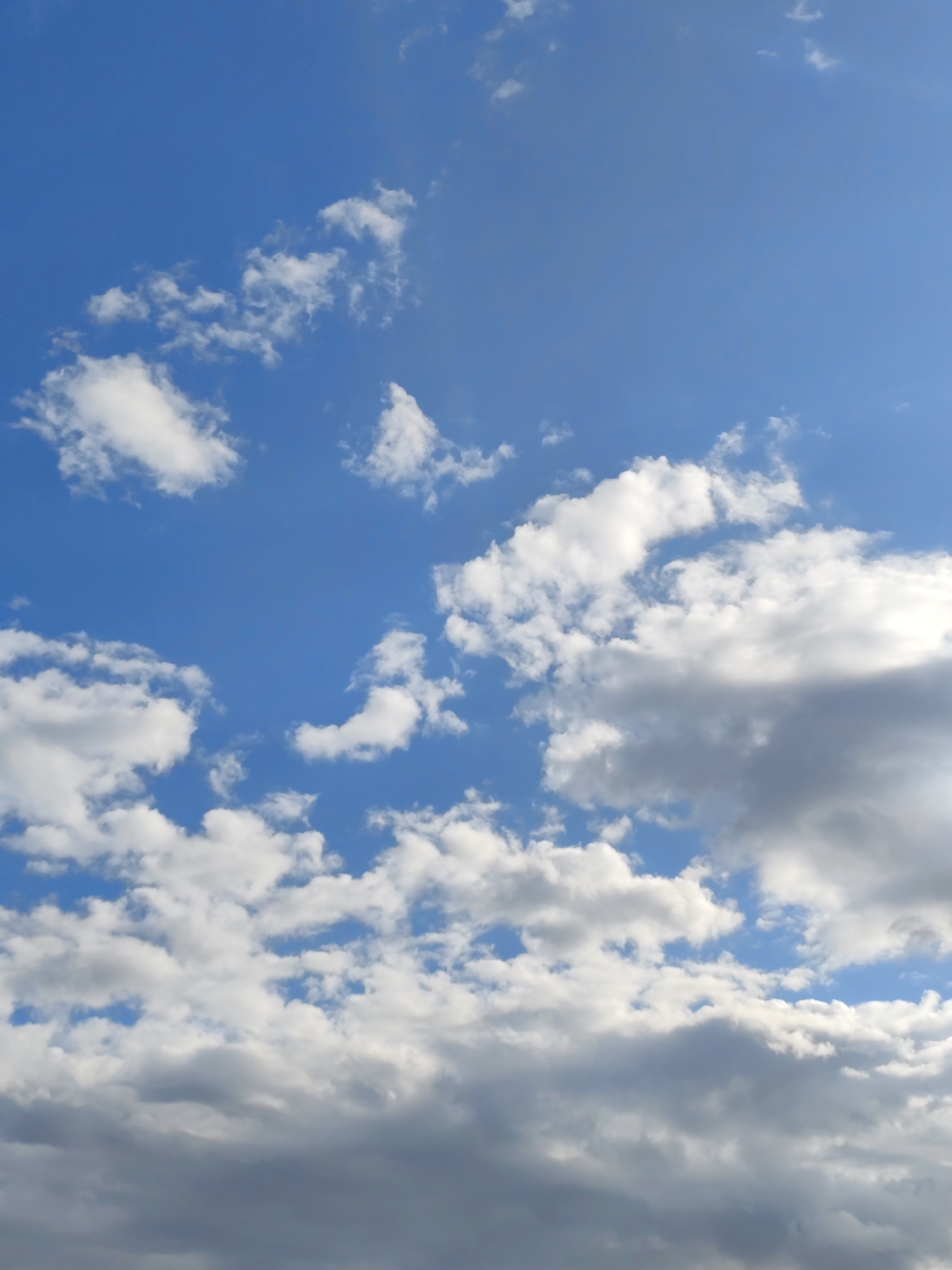 The image shows a wide-angle view of a bright blue sky filled with scattered white and grey clouds. The clouds vary in size and density, with some appearing fluffy and wispy, while others are larger and more shadowed, suggesting varying altitudes and compositions. The lighting indicates a daytime scene, likely with the sun positioned somewhere above and to the right of the frame, illuminating the clouds from the side. There are no discernable people, buildings, or other earthly objects visible in the frame, giving the impression of an open sky. The context of Березов ауылдық округі, Kazakhstan, suggests this is an outdoor scene in a rural or less urbanized area, consistent with a broad expanse of sky.